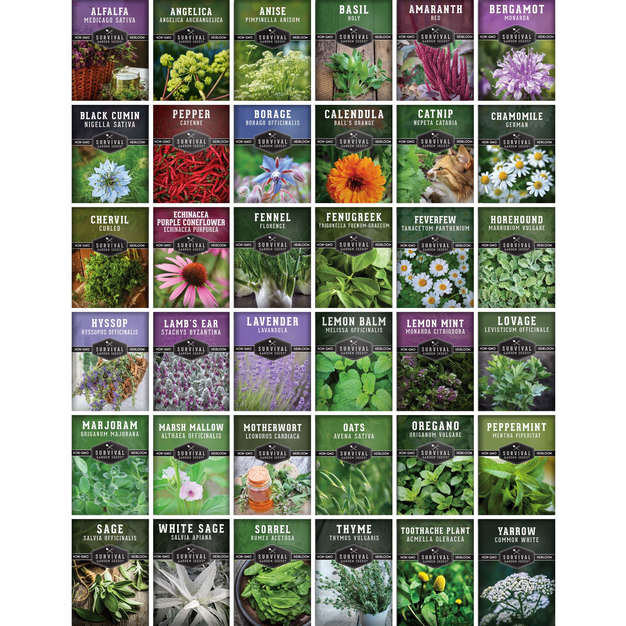Survival Garden Seeds Medicinal Herb Garden, 36 Heirloom Seed Varieties