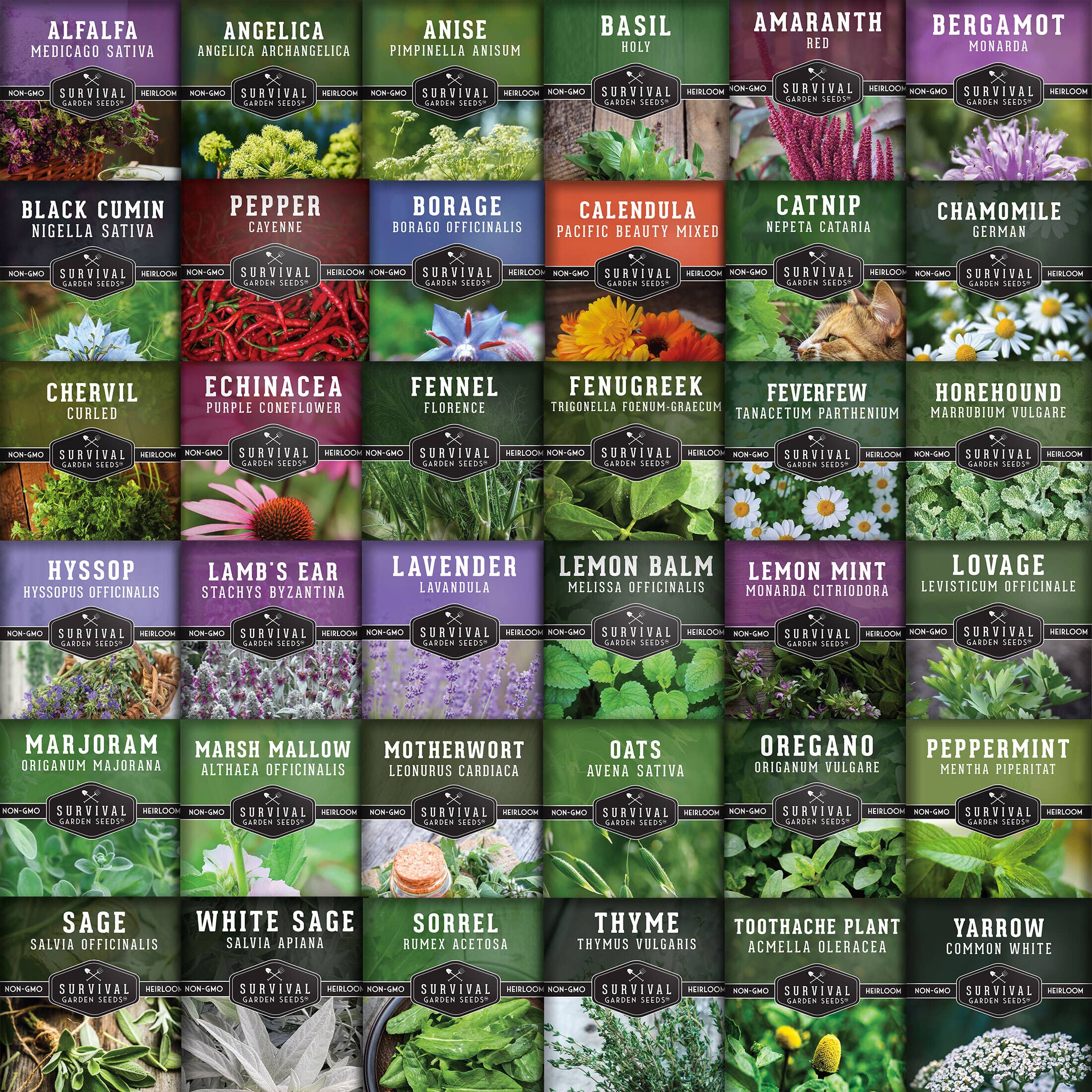 Survival Garden Seeds Medicinal Herb Garden, 36 Heirloom Seed Varieties