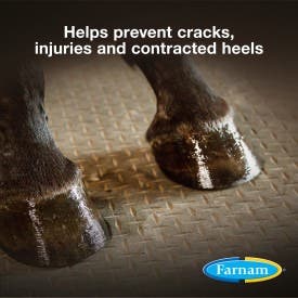 Farnam Rain Maker Triple Action Hoof Moisturizer and Conditioner for Horses, prevents cracks and contracted heels 32 Fluid Ounces