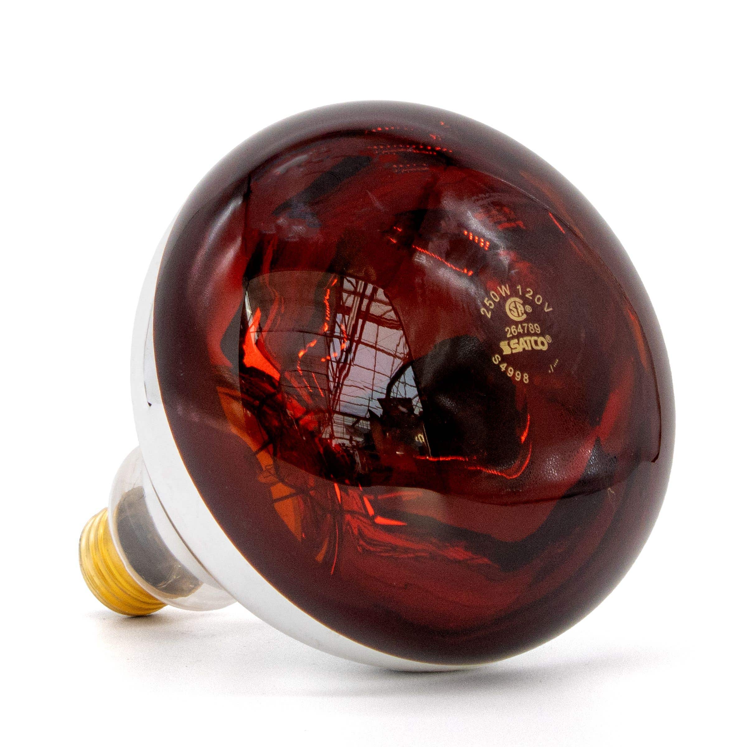 250W Incandescent Red Heat Lamp Bulb, Dimmable