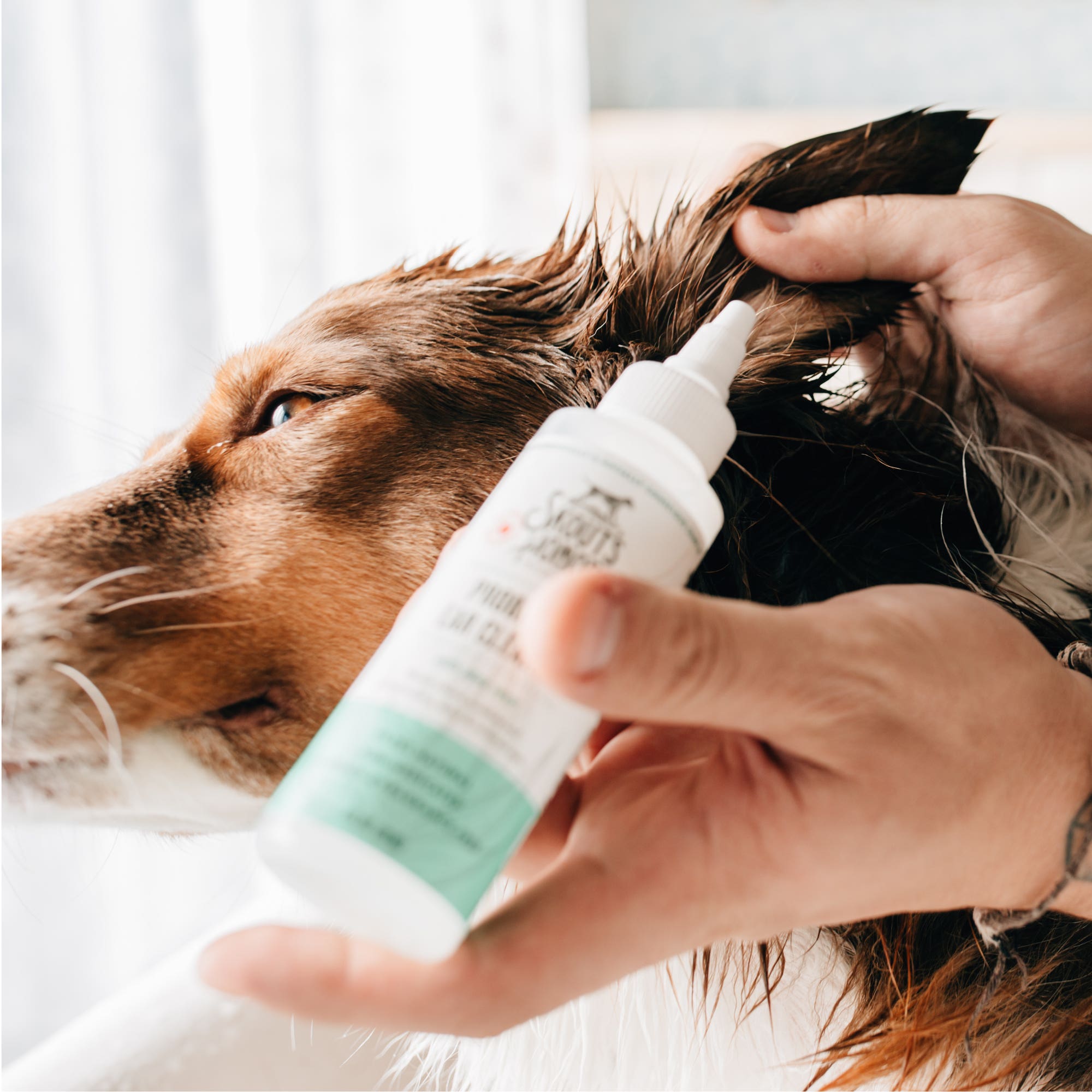 Skout Probiotic Ear Cleaner