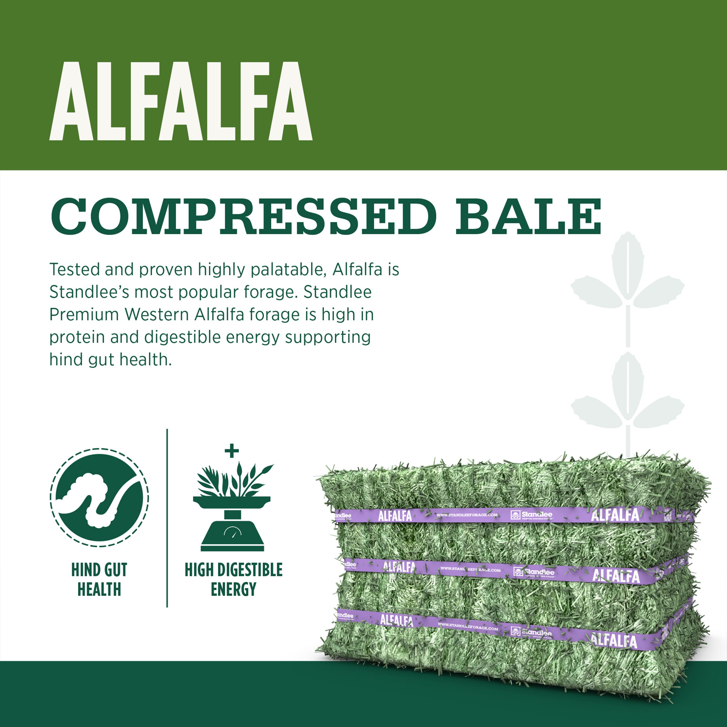 Standlee Alfalfa Compressed Bale