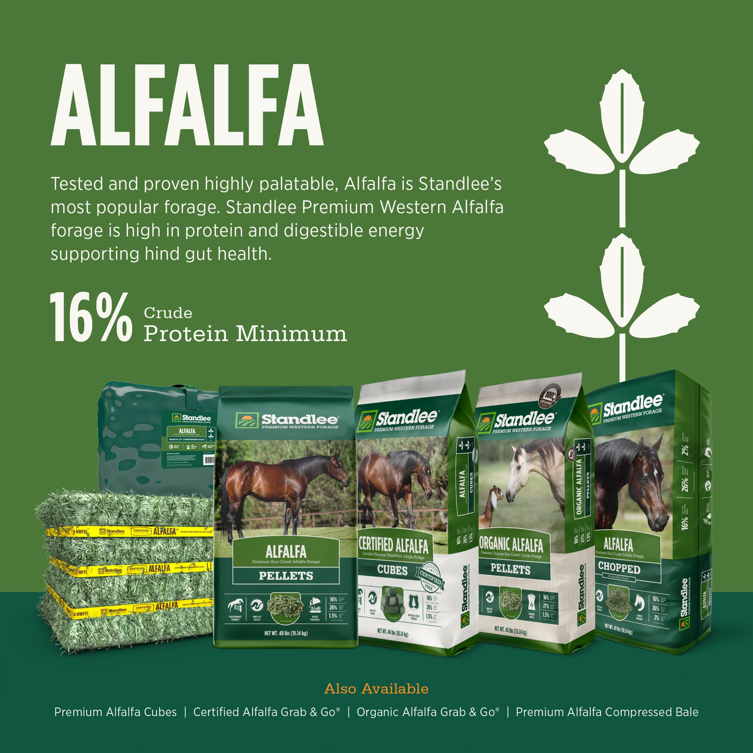 Standlee Alfalfa Compressed Bale