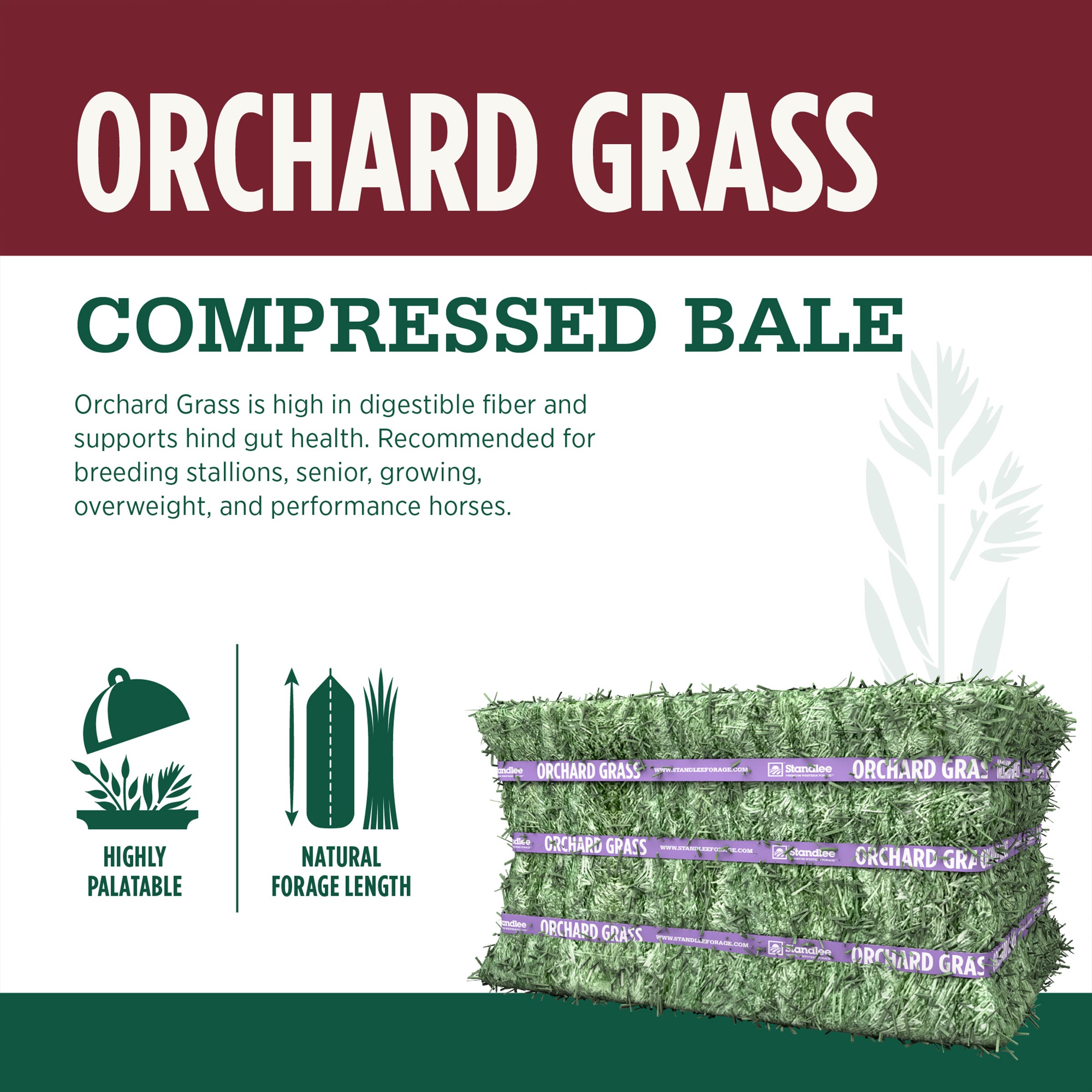 STANDLEE Orchard Grass Compressed Bale