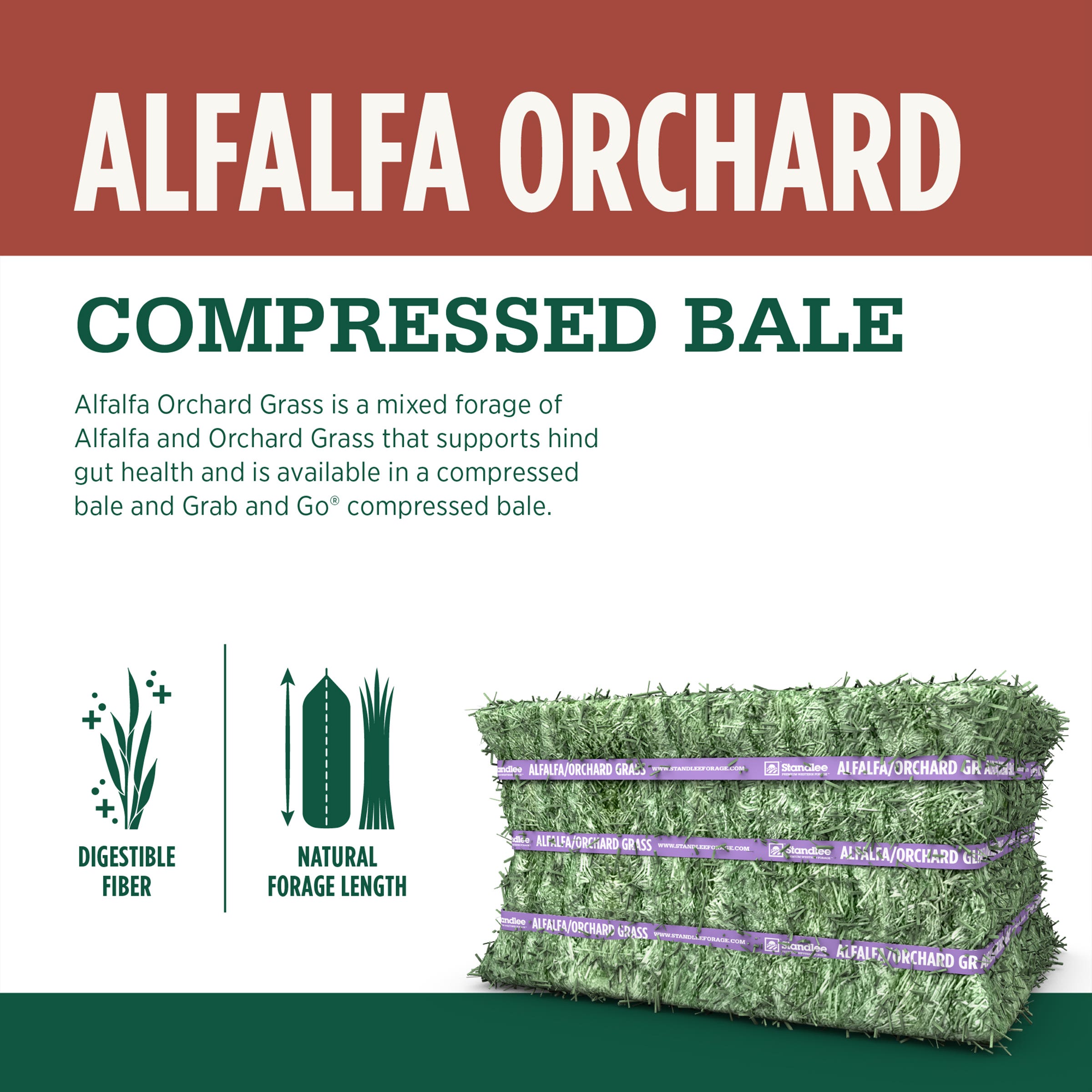 STANDLEE Alfalfa/Orchard Grass Compressed Bale