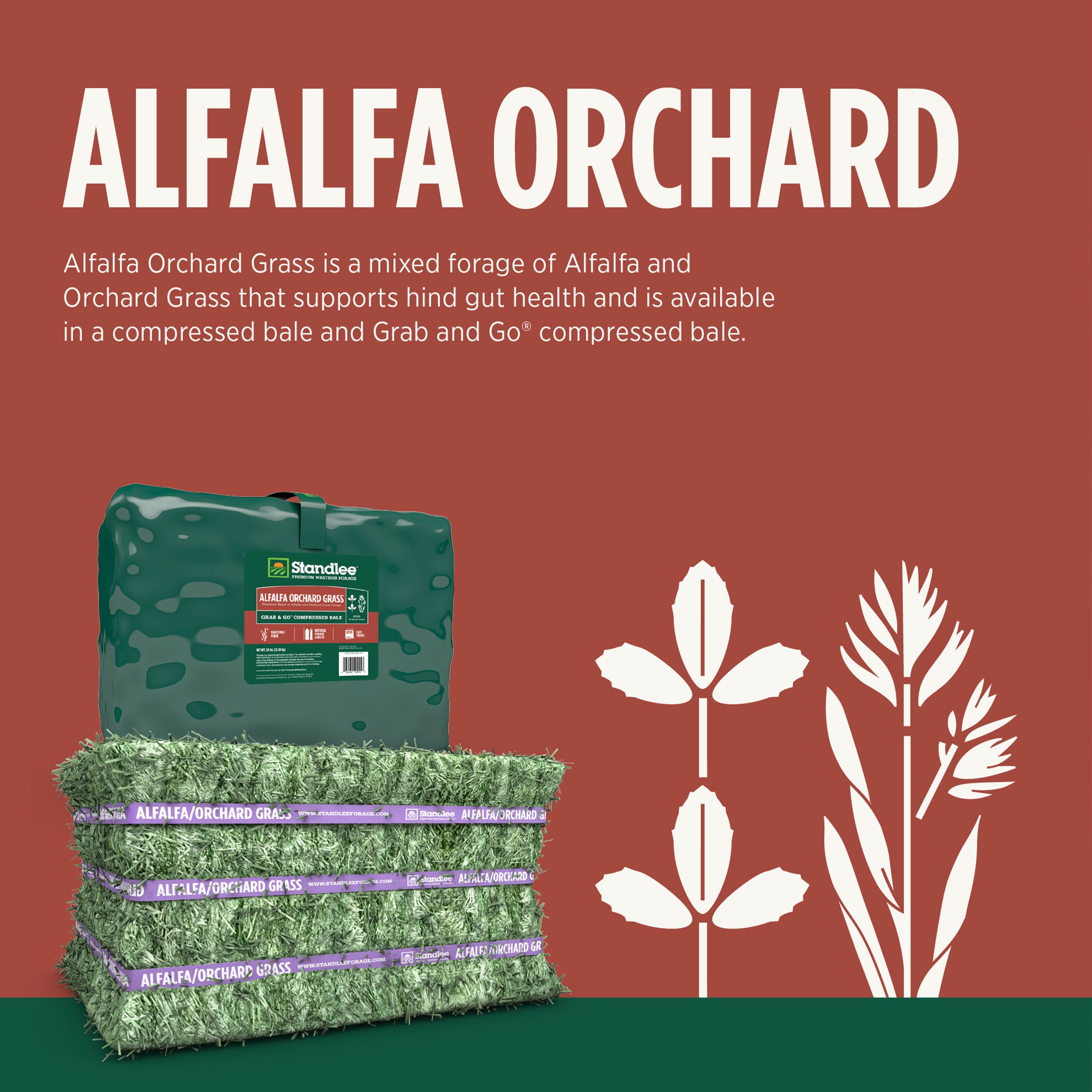 STANDLEE Alfalfa/Orchard Grass Compressed Bale