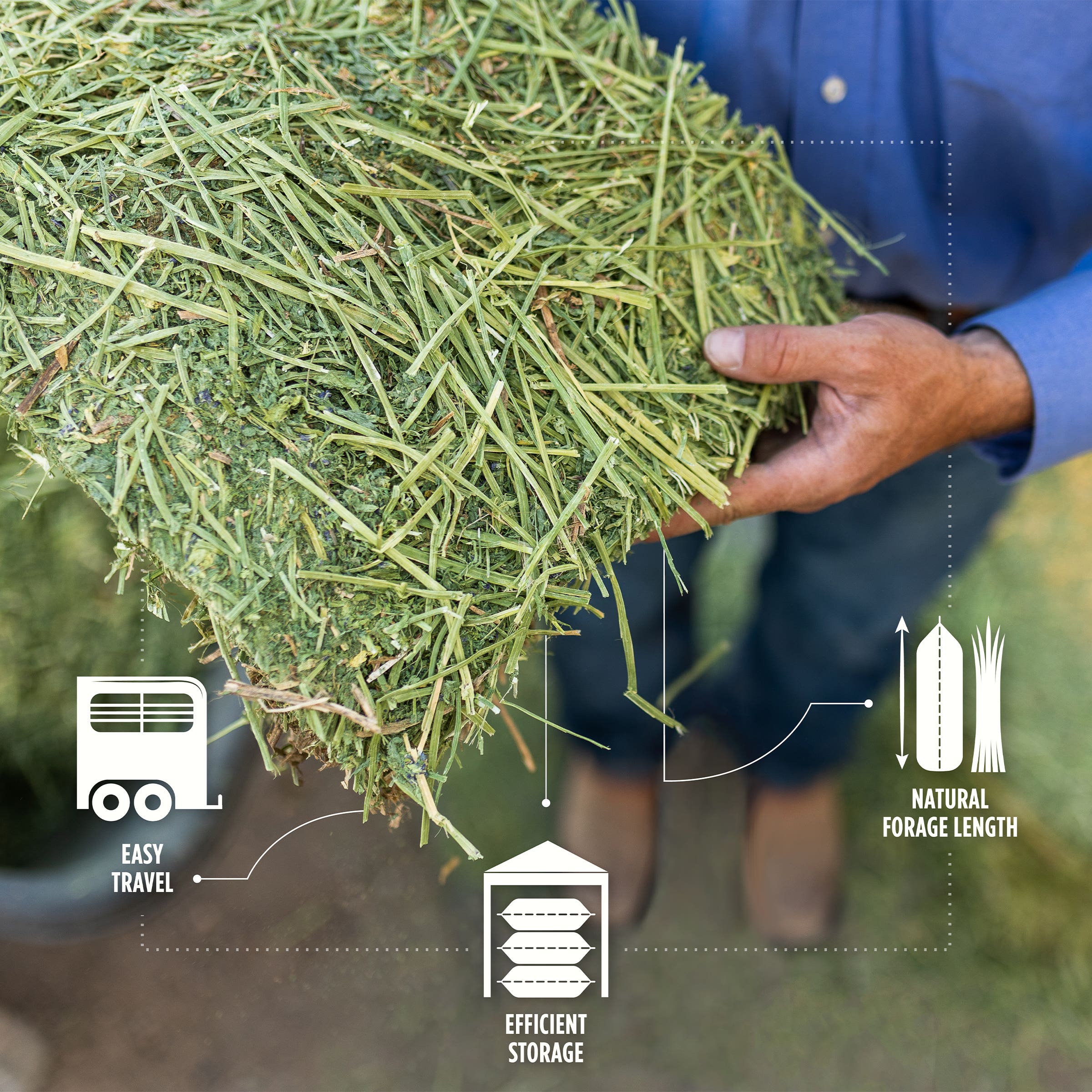 STANDLEE Alfalfa/Orchard Grass Compressed Bale