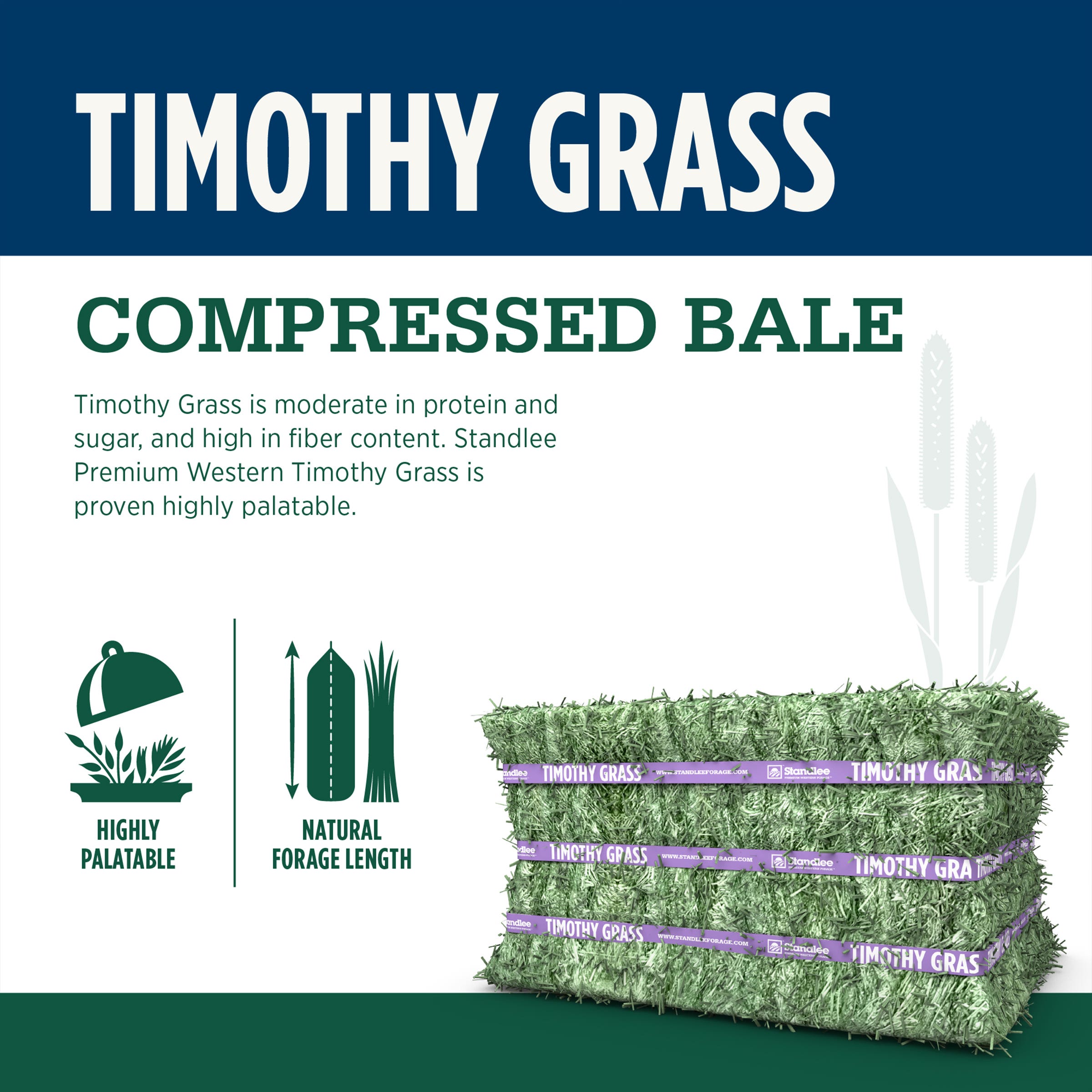 Standlee Timothy Grass Compressed Bale