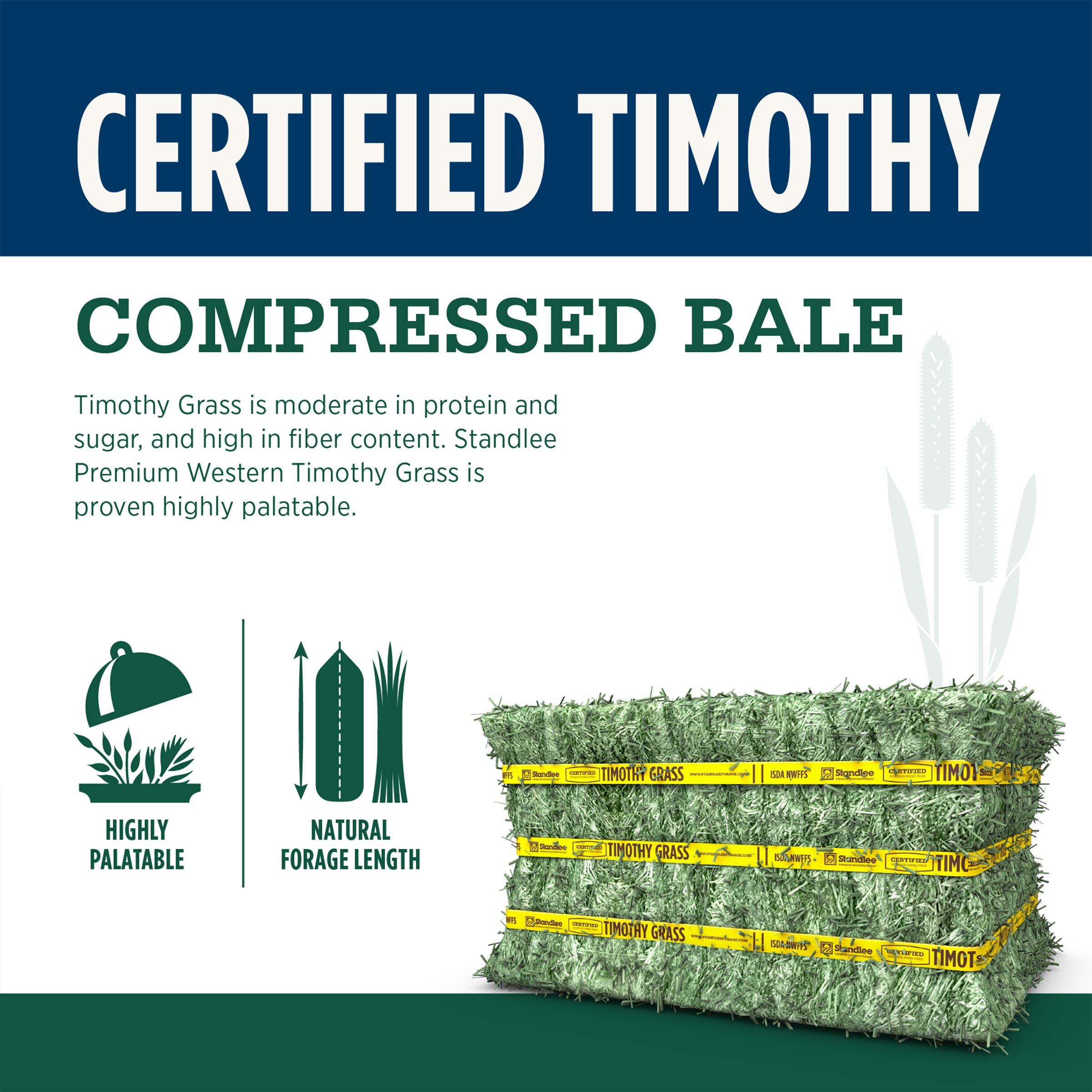STANDLEE Certified Timothy Grass Compressed Bale