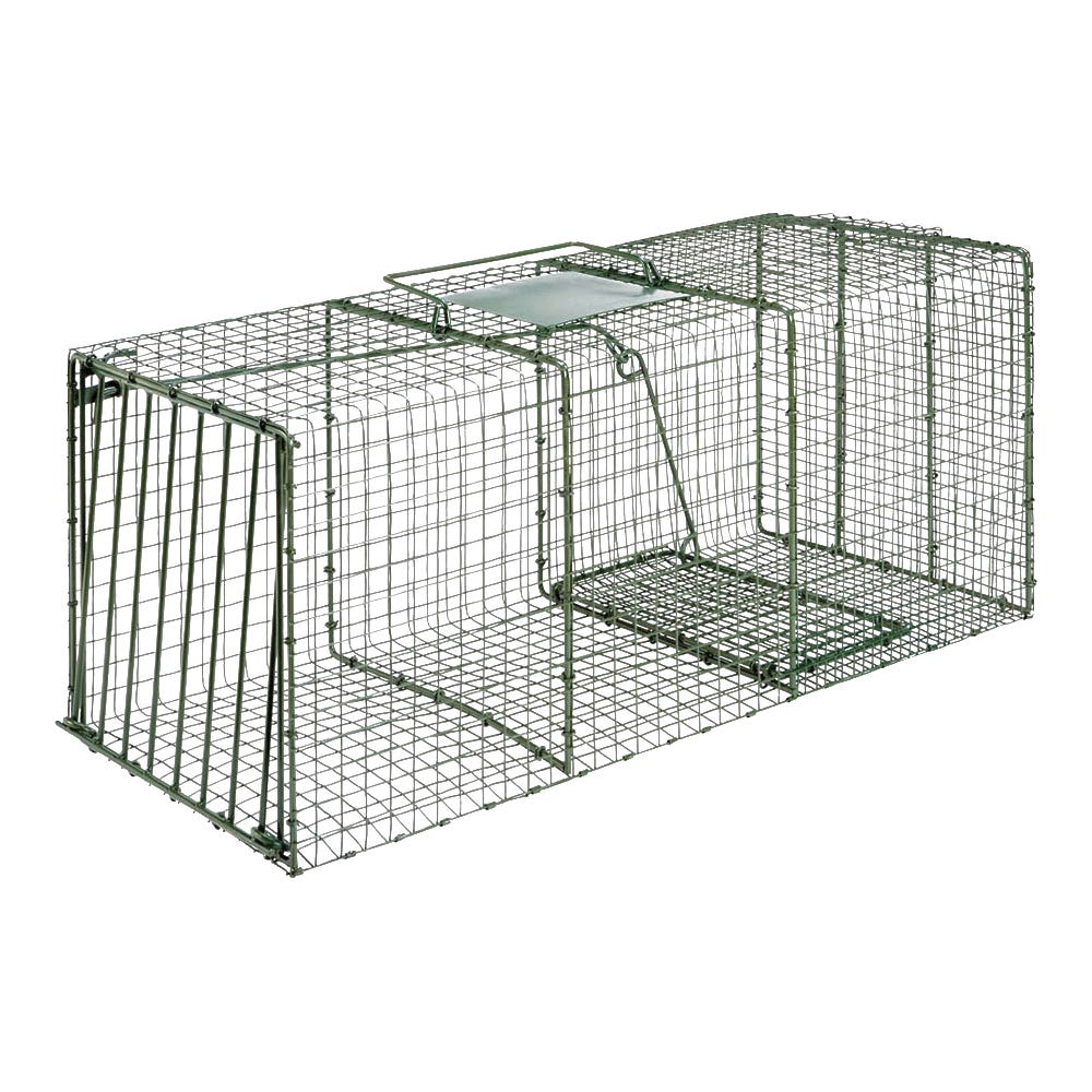 DUKE TRAPS Cage Trap, 36 in L, 15 in W, 14 in H