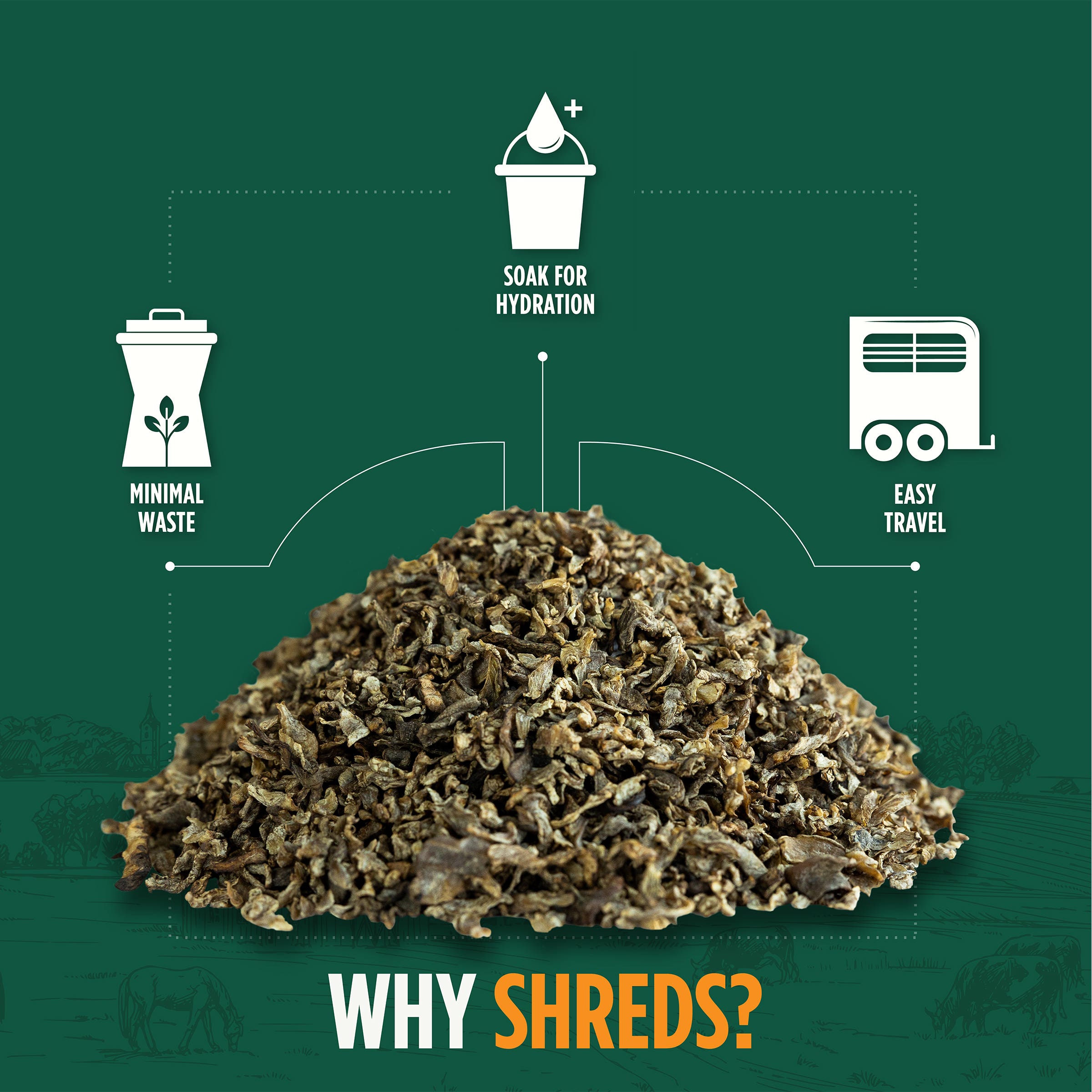 STANDLEE Smart Beet Shreds, Premium Livestock Feed