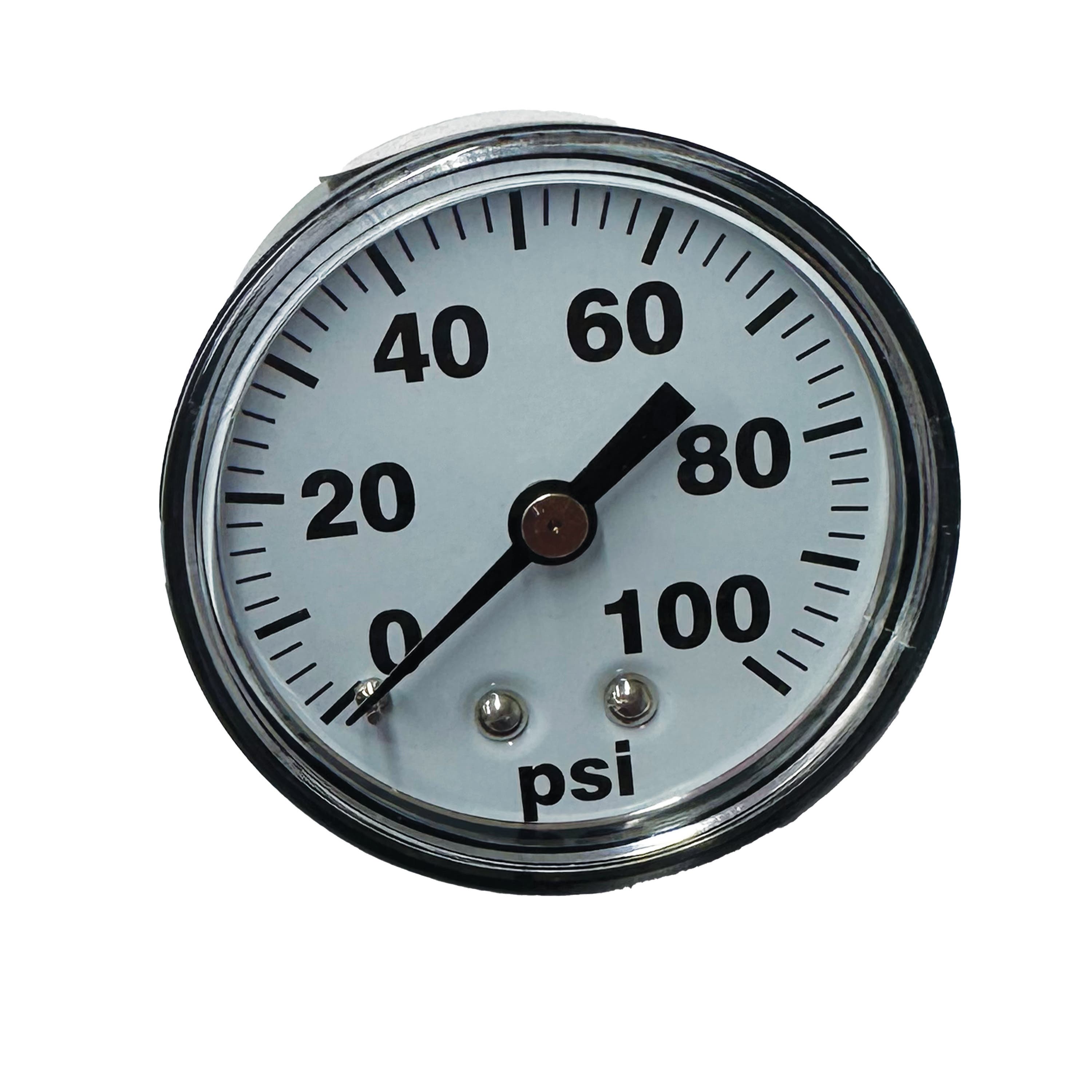 Fimco Back-Mount Pressure Gauge