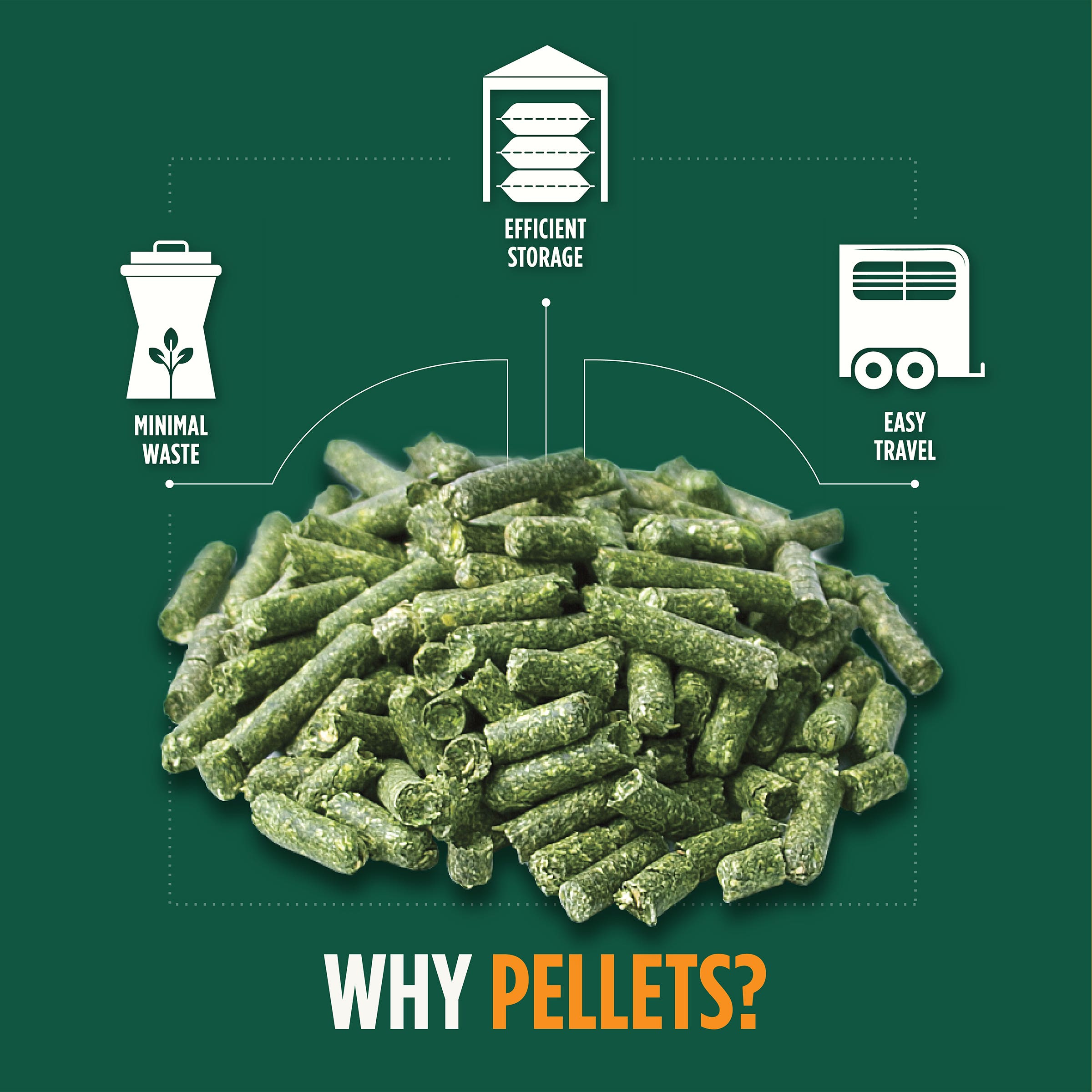STANDLEE Teff Grass Pellets, 40 Lb.