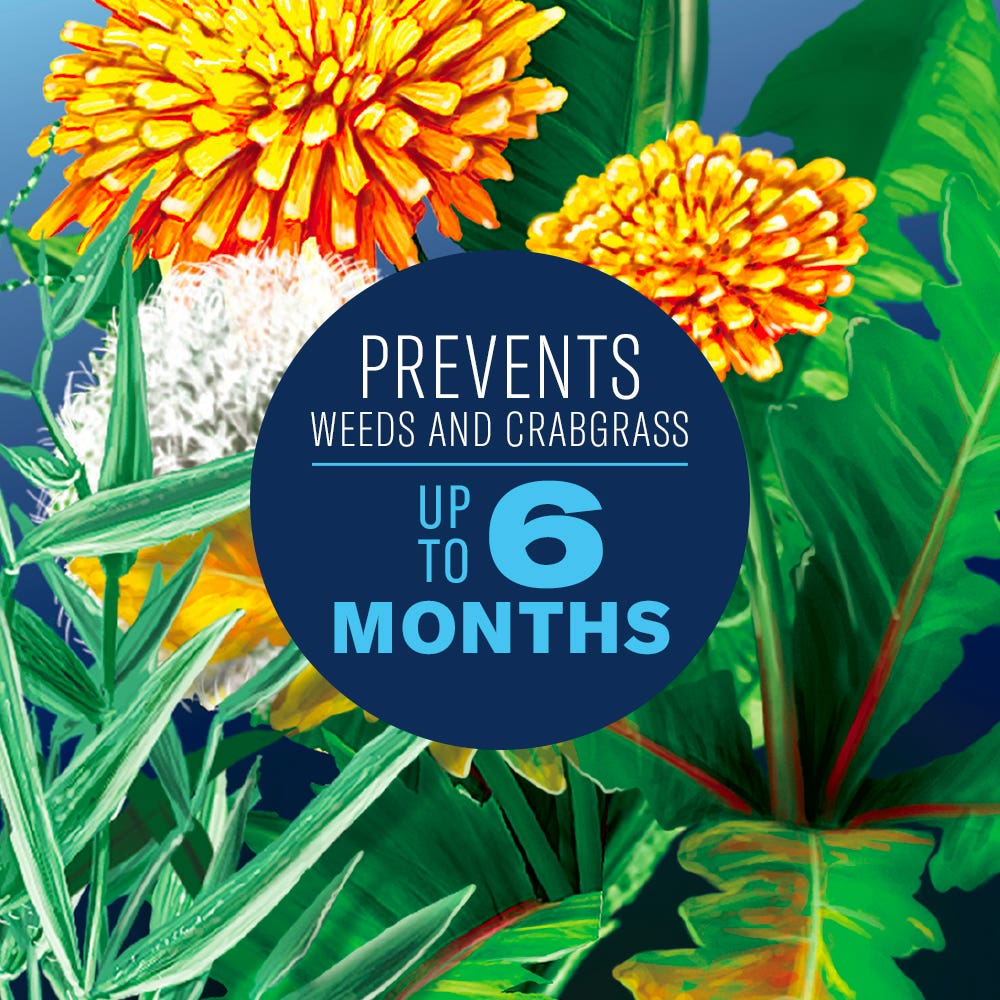 BioAdvanced Season Long Weed Killer Plus Preventer for Northern Lawns, Granules, 9.6 LB