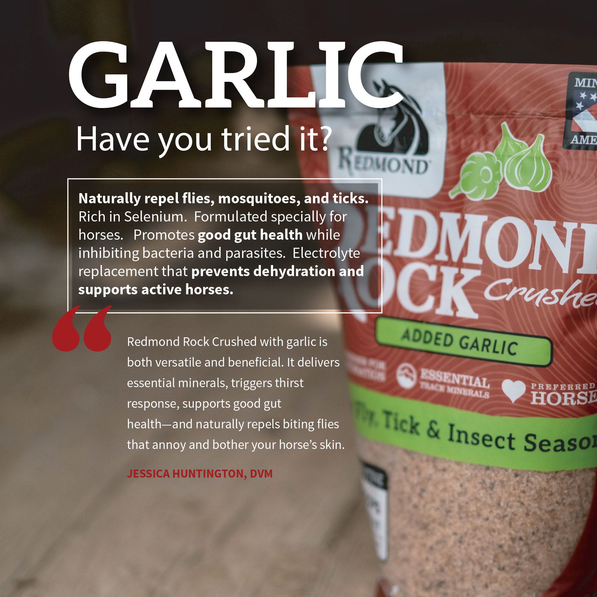 Redmond Rock Crushed with Garlic, Horse Supplement