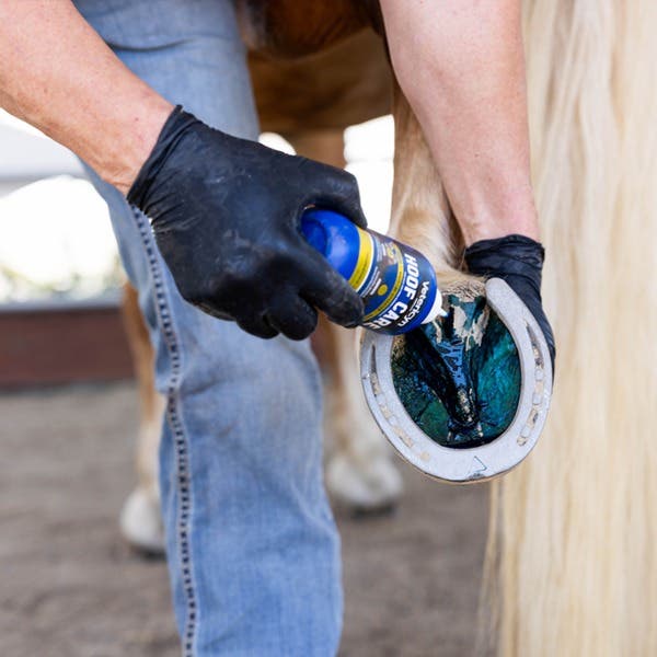 Vetericyn Mobility Hoof Care, 8 oz