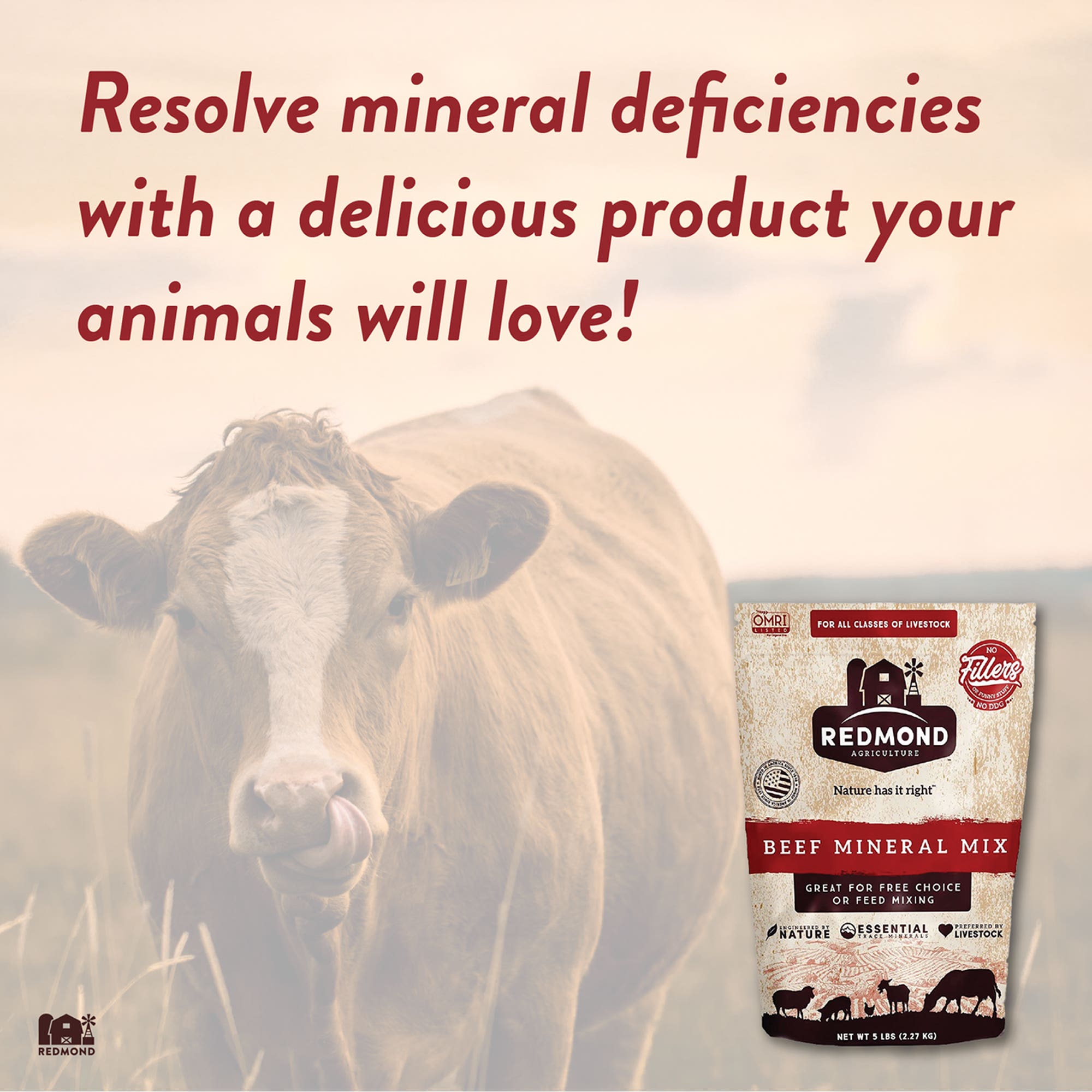 Redmond Beef Mineral, 5 lb, Bag
