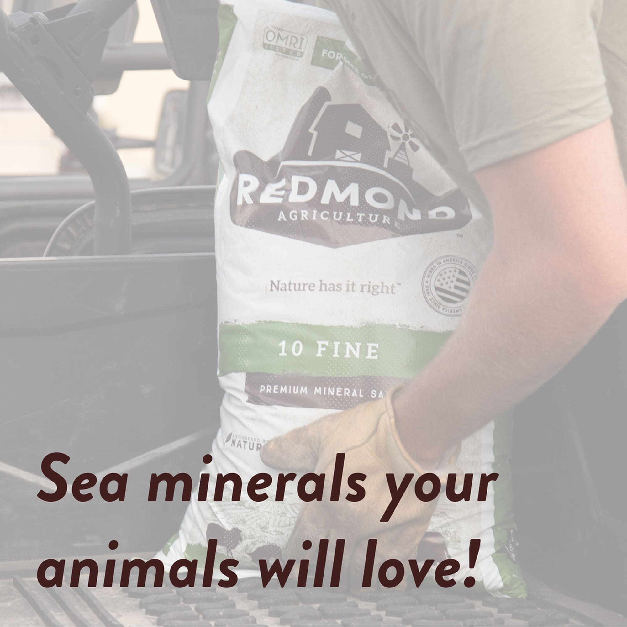 Redmond Premium Mineral Salt 10 Fine, 5 lb, Bag
