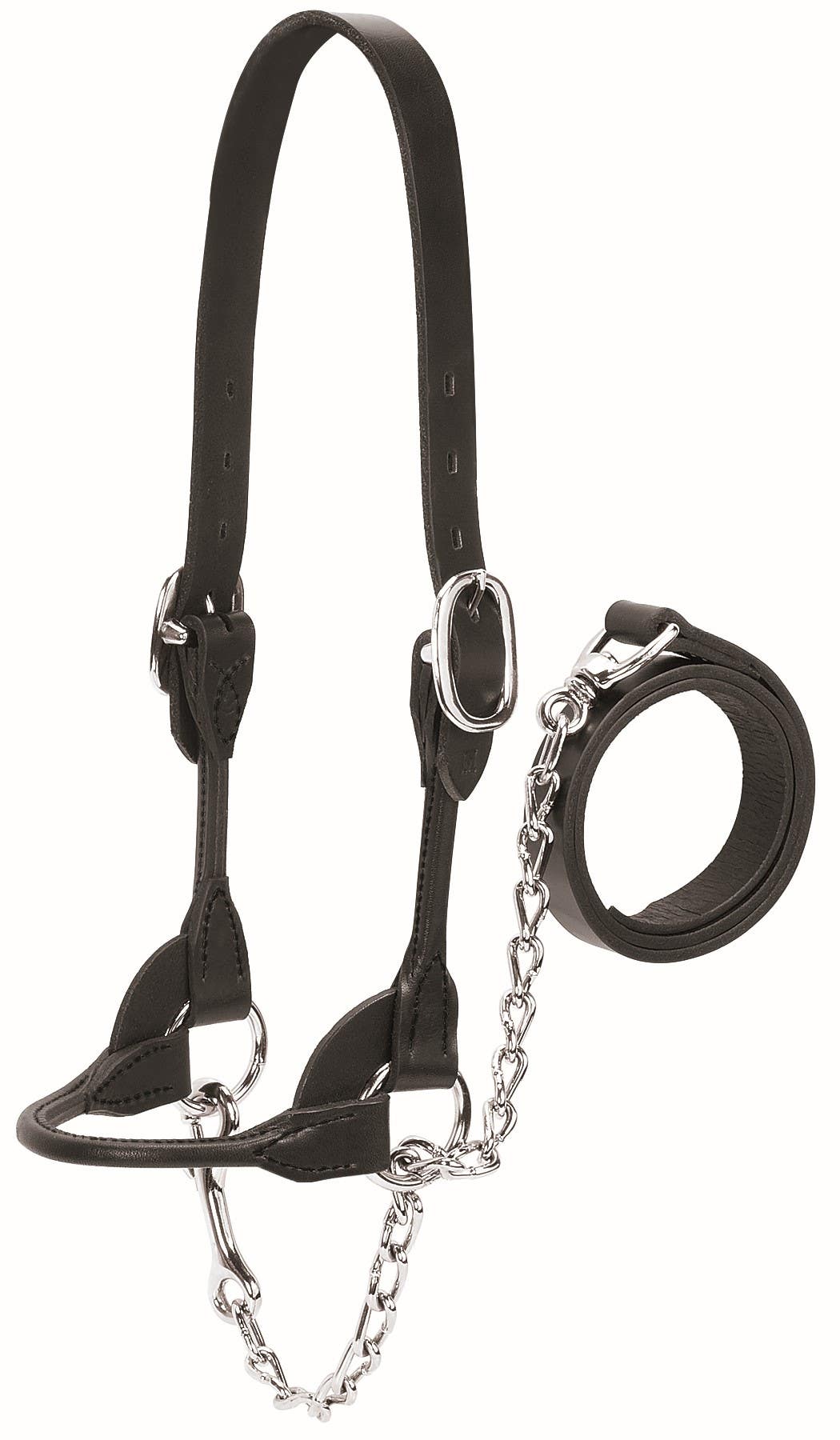 Weaver Leather Dairy/Beef Rounded Show Halter, Black, Medium