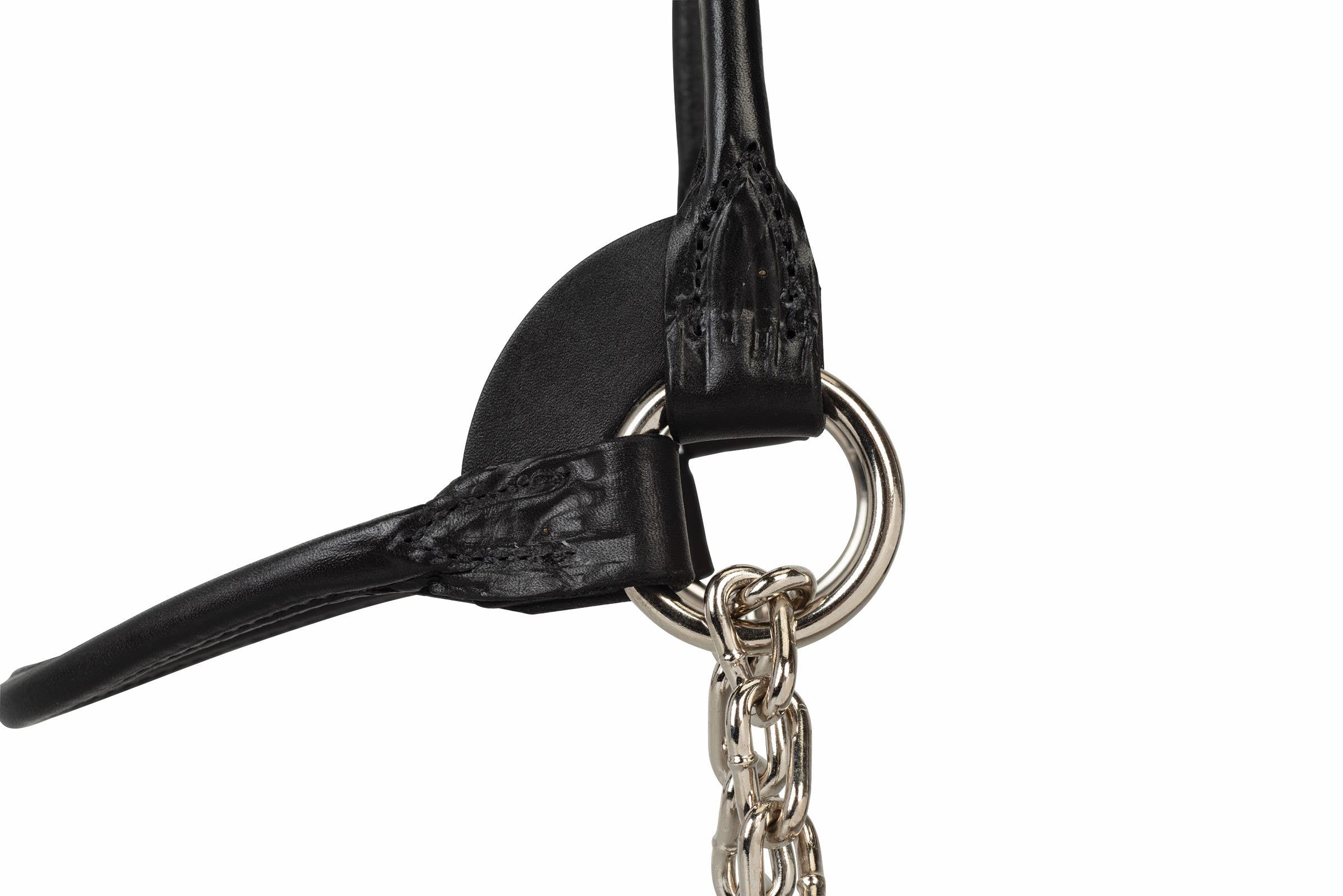 Weaver Leather Dairy/Beef Rounded Show Halter, Black, Medium