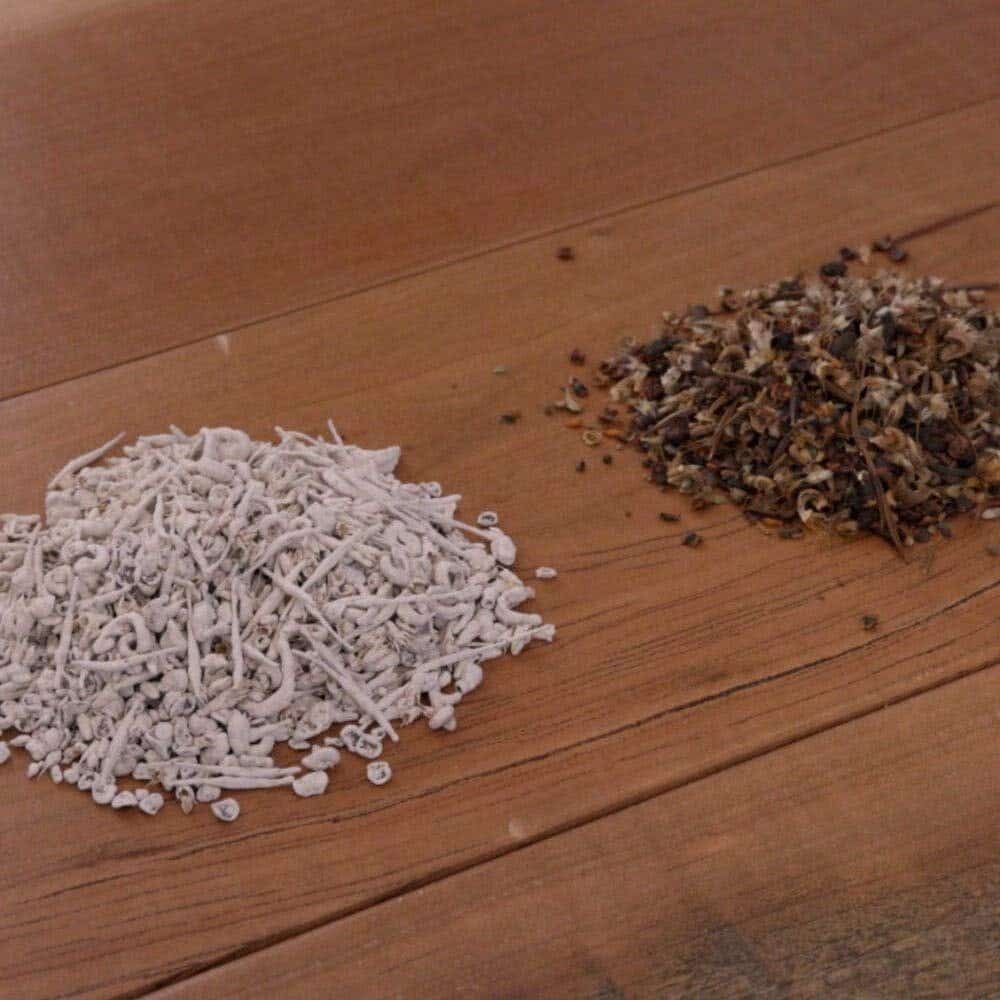 Great Basin Seed Wildflower Seed Mix, 3 Oz. Package