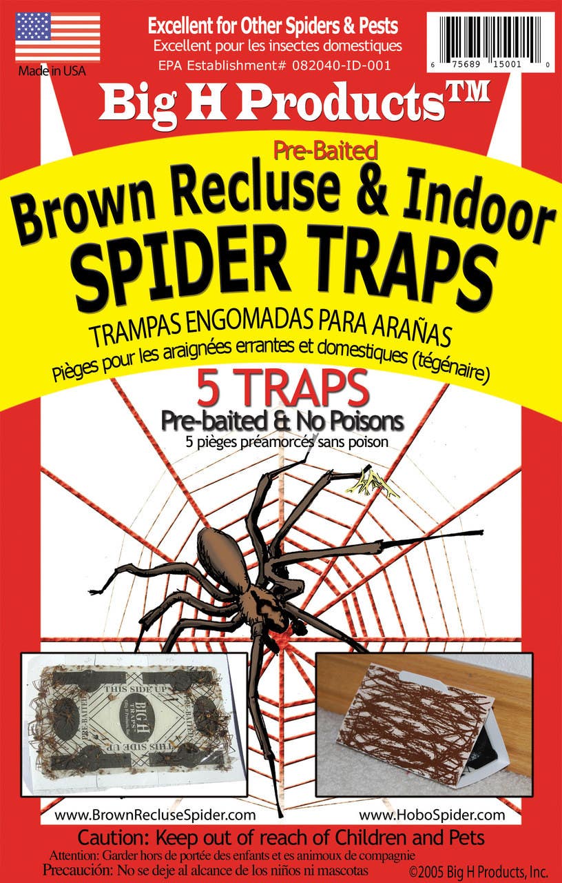 Big H Brown Recluse & Spider Trap
