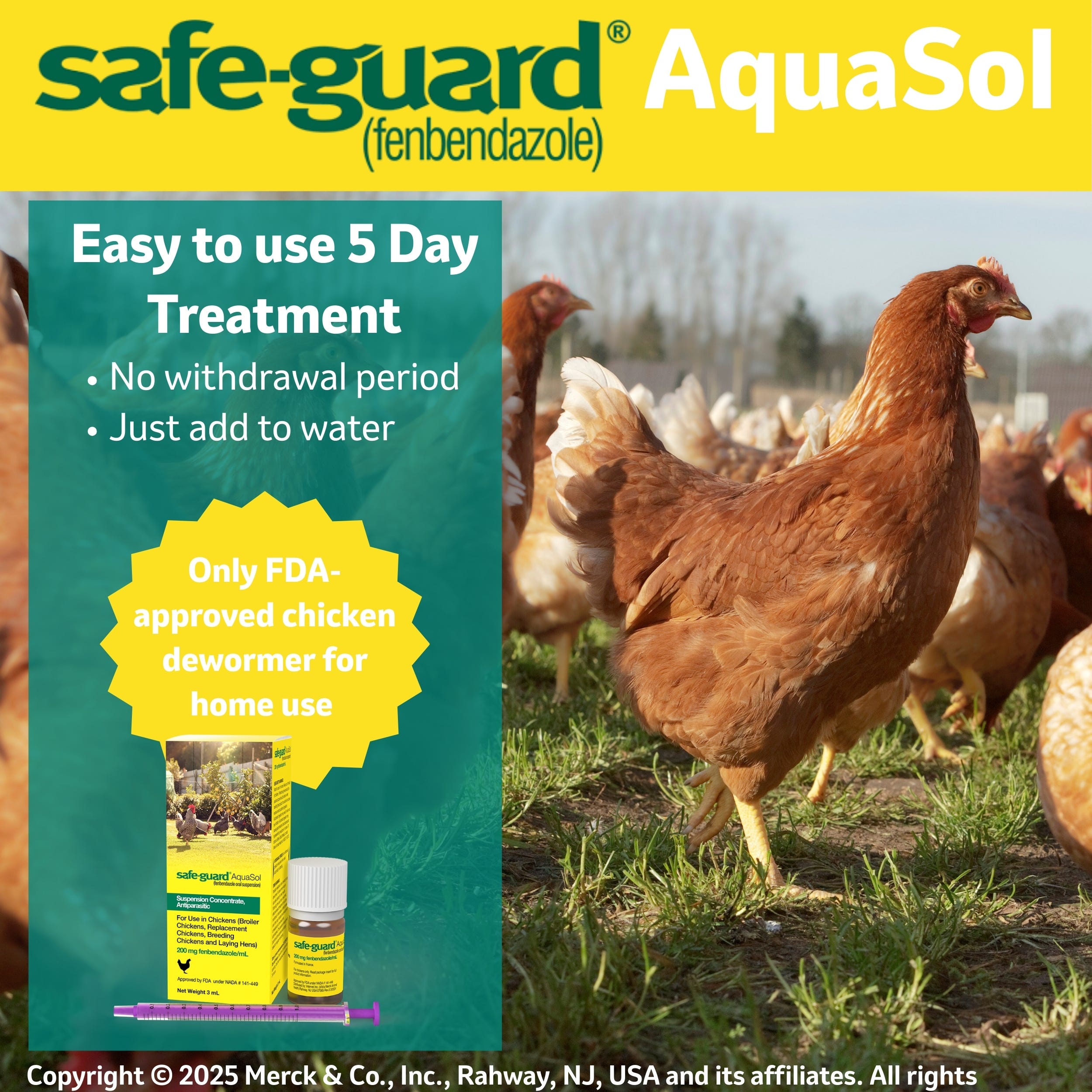 SAFE-GUARD AquaSol Dewormer for Chickens, 3 mL Bottle