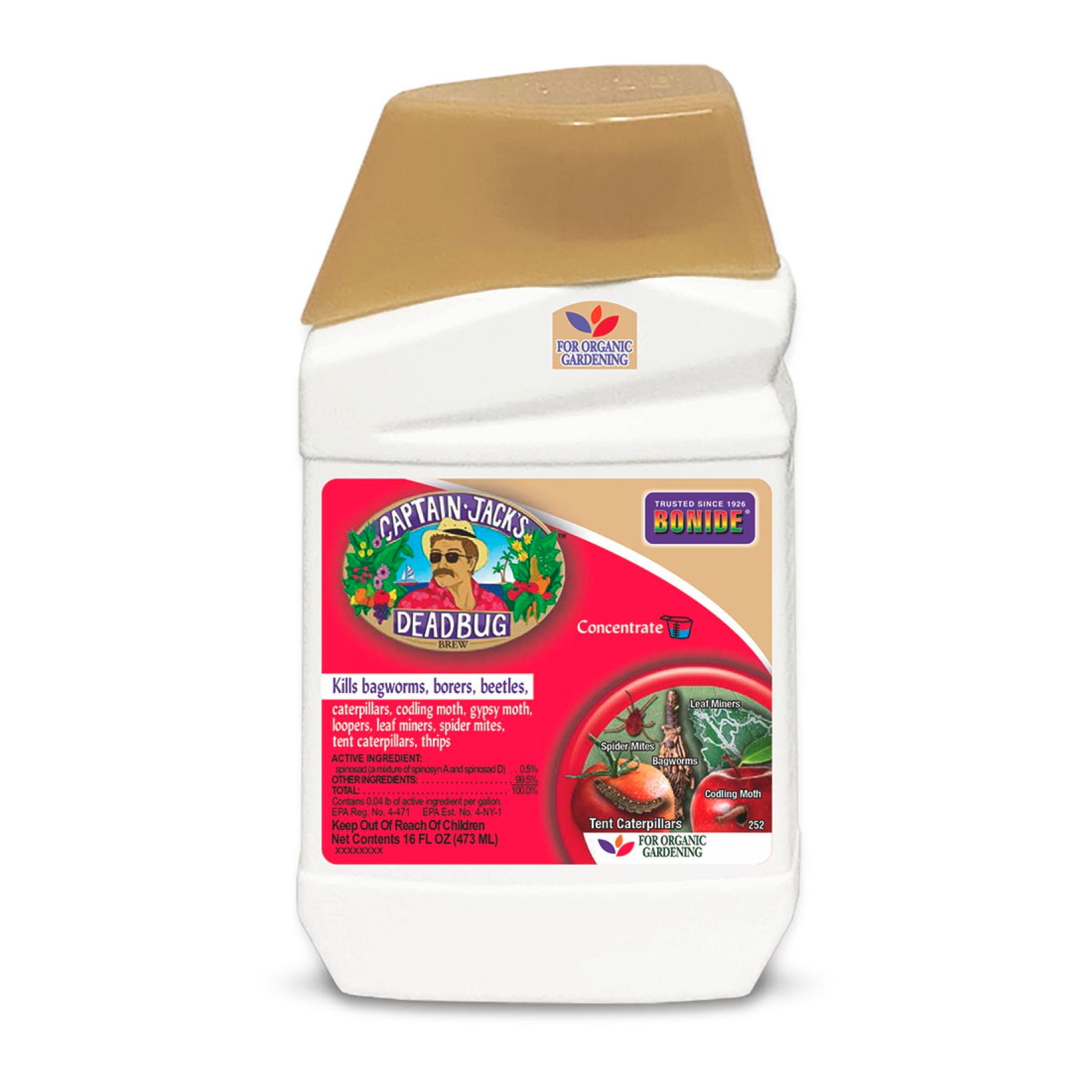 Bonide Captain Jack’s DeadBug Brew Concentrate 16 oz