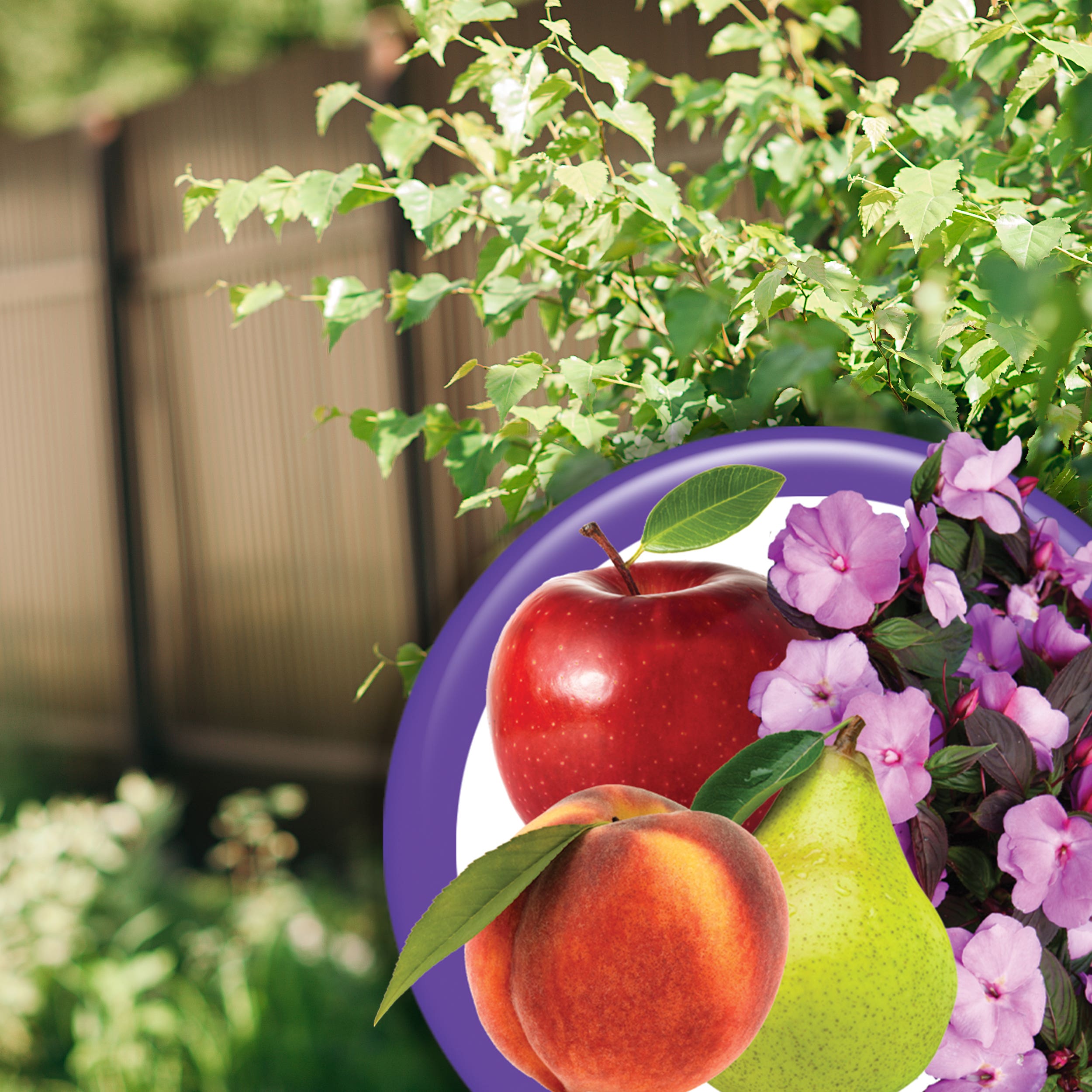 BONIDE Fruit Tree & Plant Guard, Ready-To-Spray, Multi-Purpose Insecticide & Disease Control, 16oz Liquid