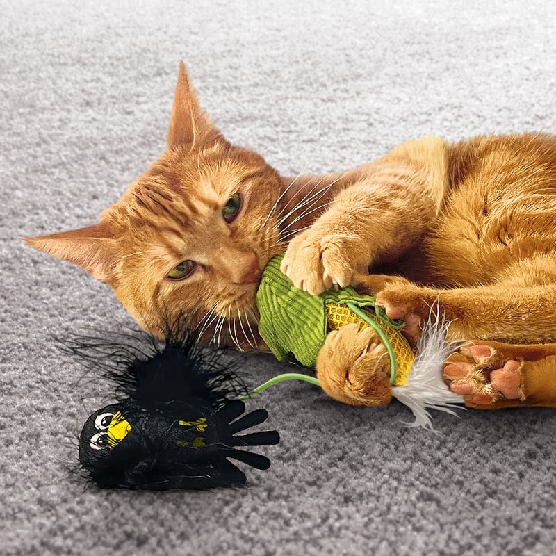 KONG Flingaroo Corny Cat Toy