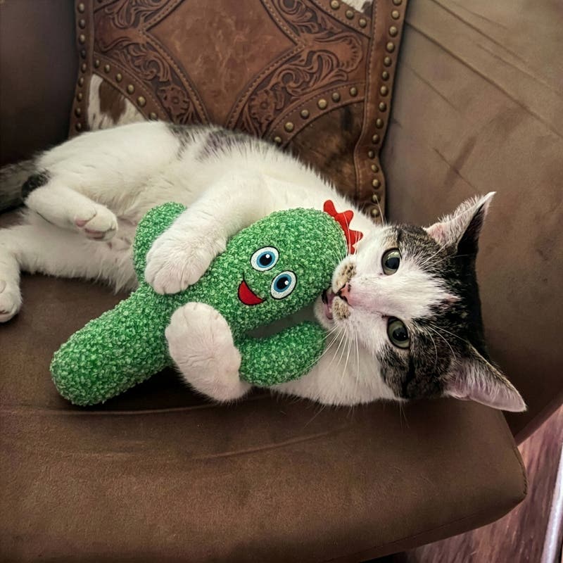 KONG Kickeroo Cactus Cat Toy