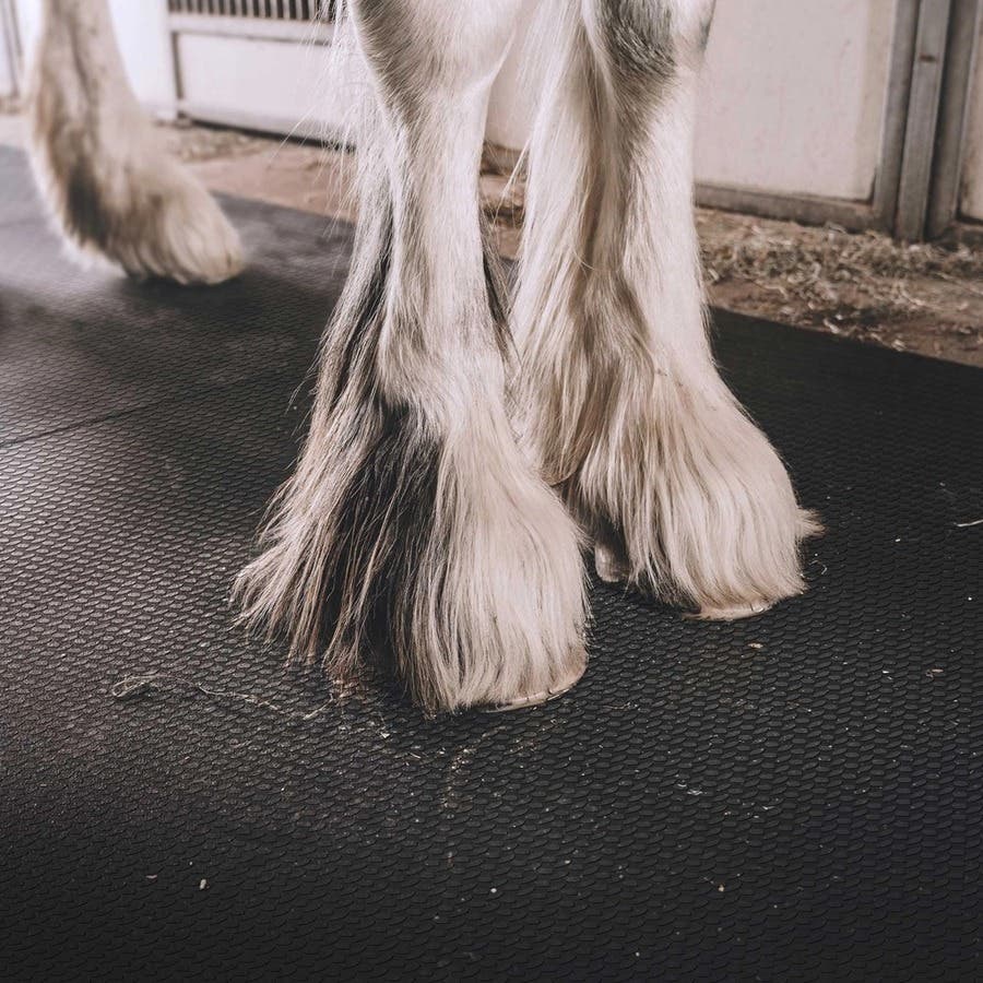 Red Barn Equine Non-Slip Stall Mat 40 in x 70 in