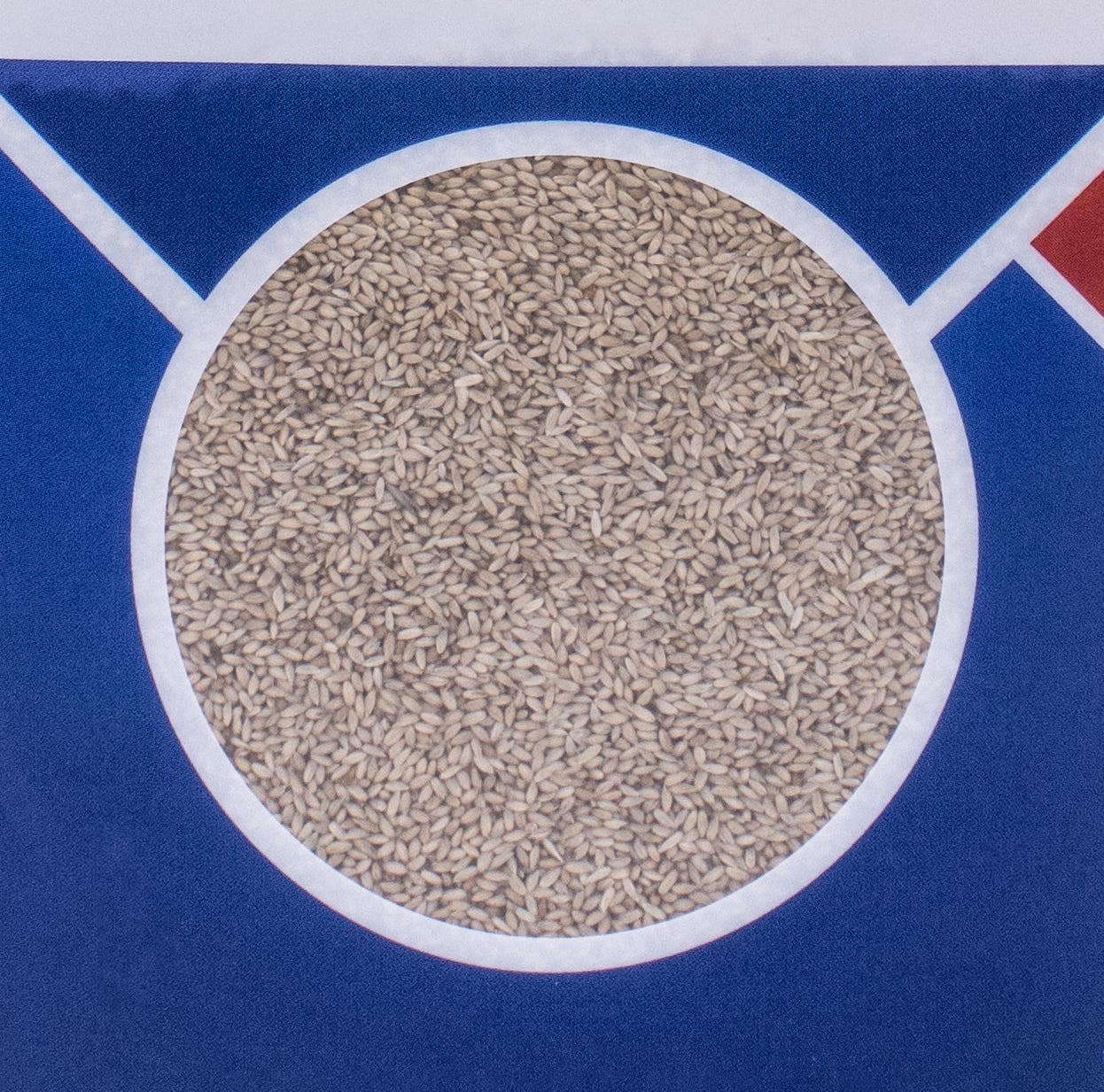 Red Clover Seed, 1 Lb. Bag