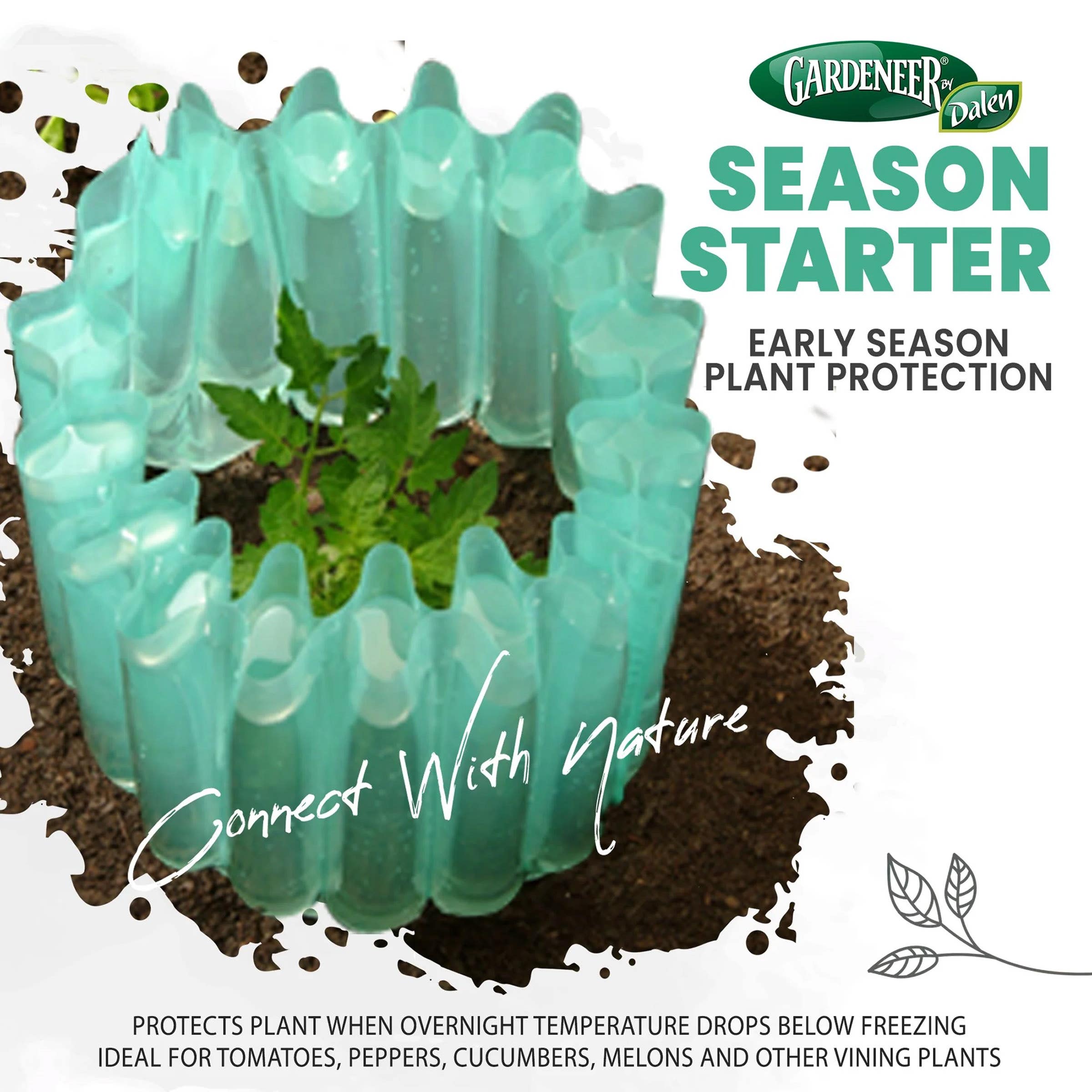 Dalen Season Starter Tomato Starter