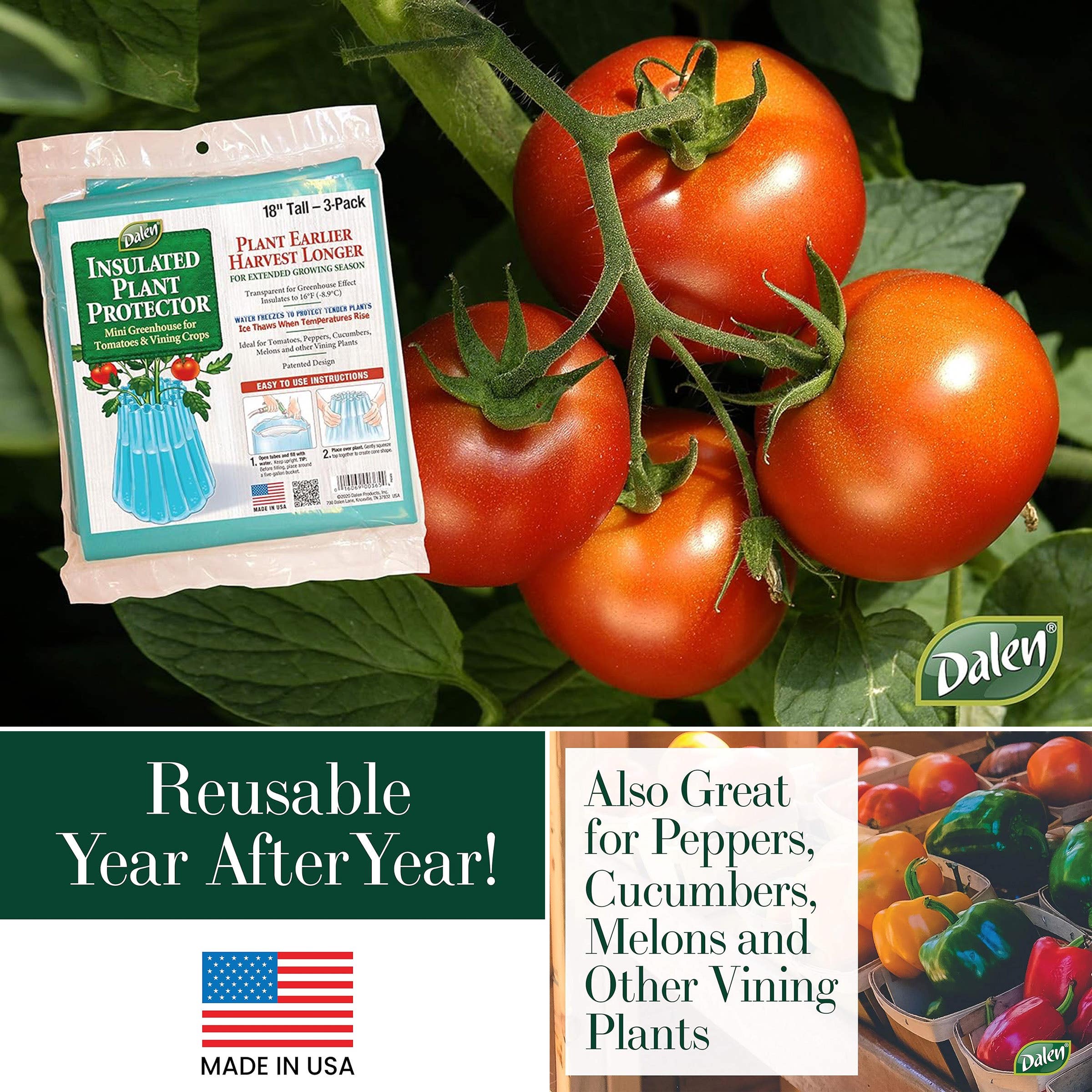 Dalen Season Starter Tomato Starter