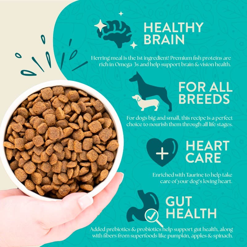 Earthborn Holistic Coastal Catch Dog Food, Dry, 14 lb