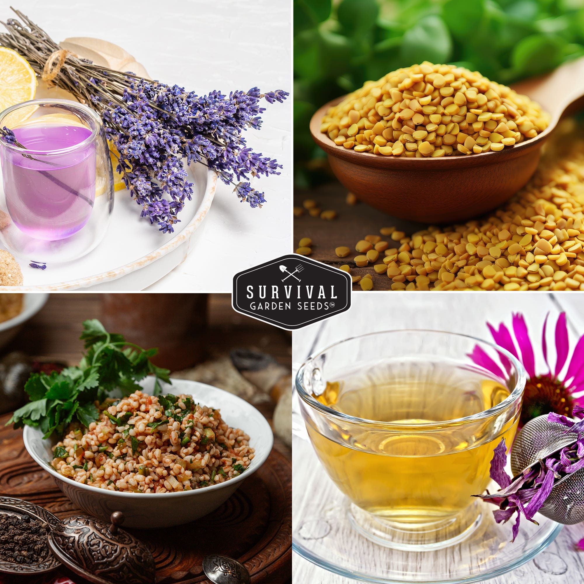 Survival Garden Seeds Medicinal Herb Garden, 36 Heirloom Seed Varieties
