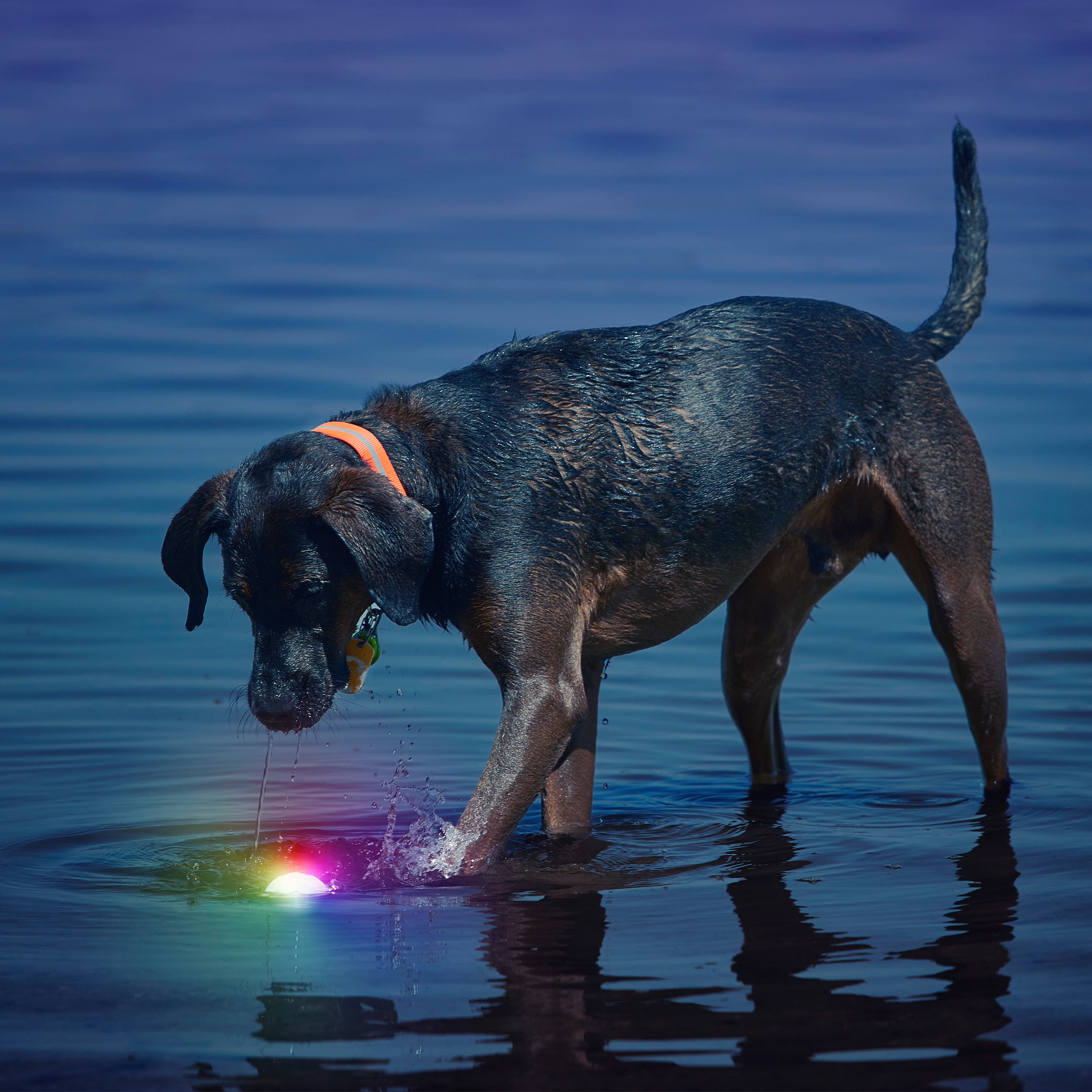 Nite Ize GlowStreak LED Ball, Disc-O