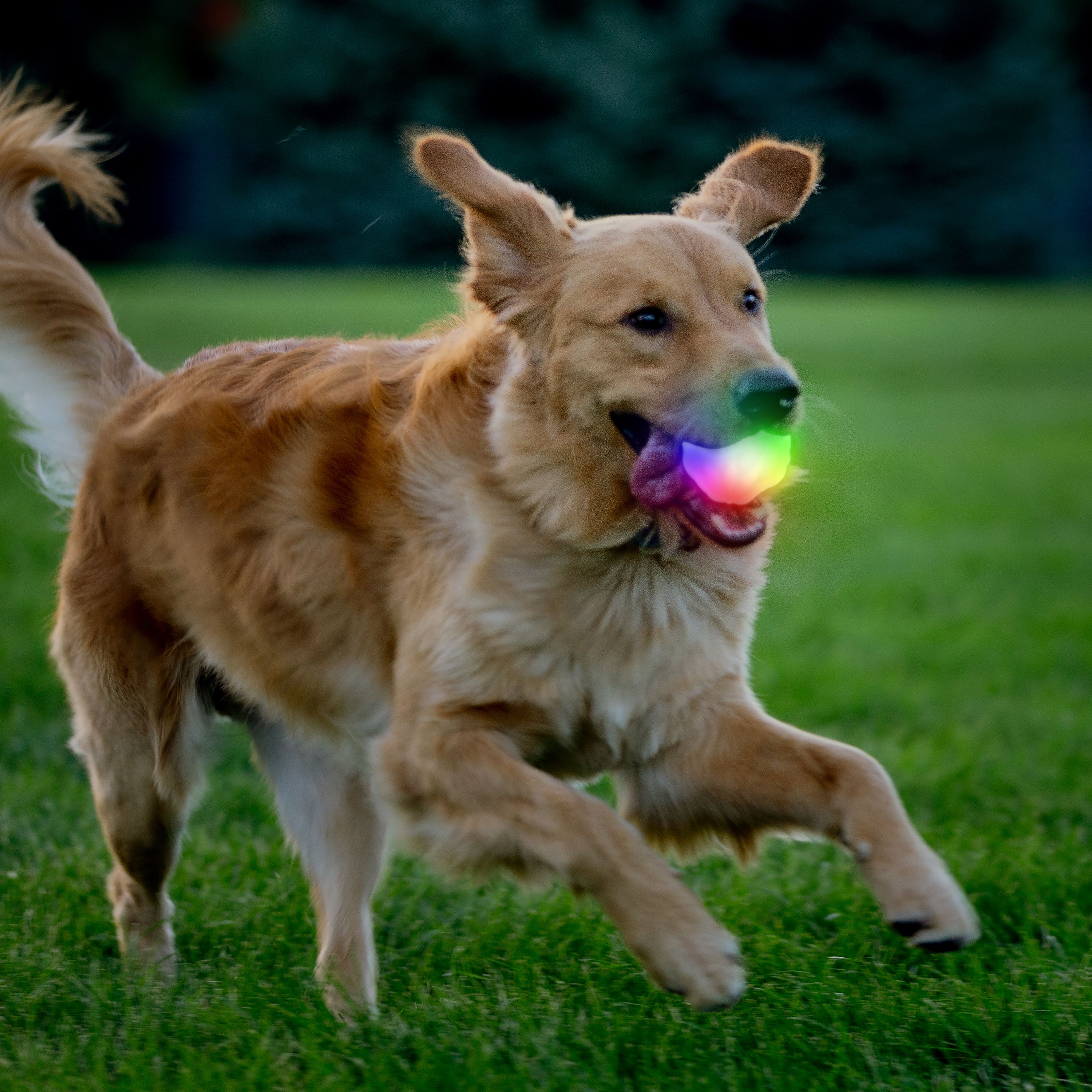 Nite Ize GlowStreak Wild LED Ball, Disc-O