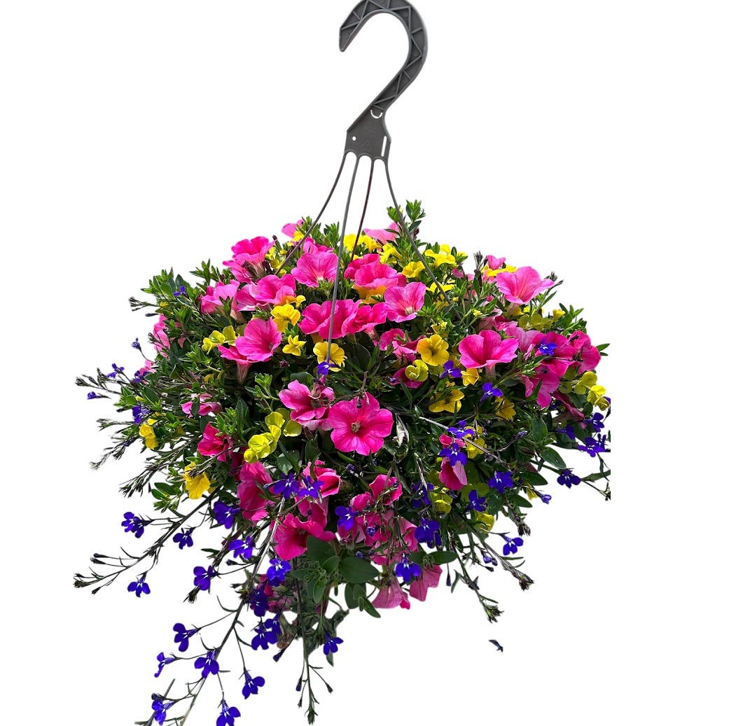 Premium Hanging Flower Basket 12 in