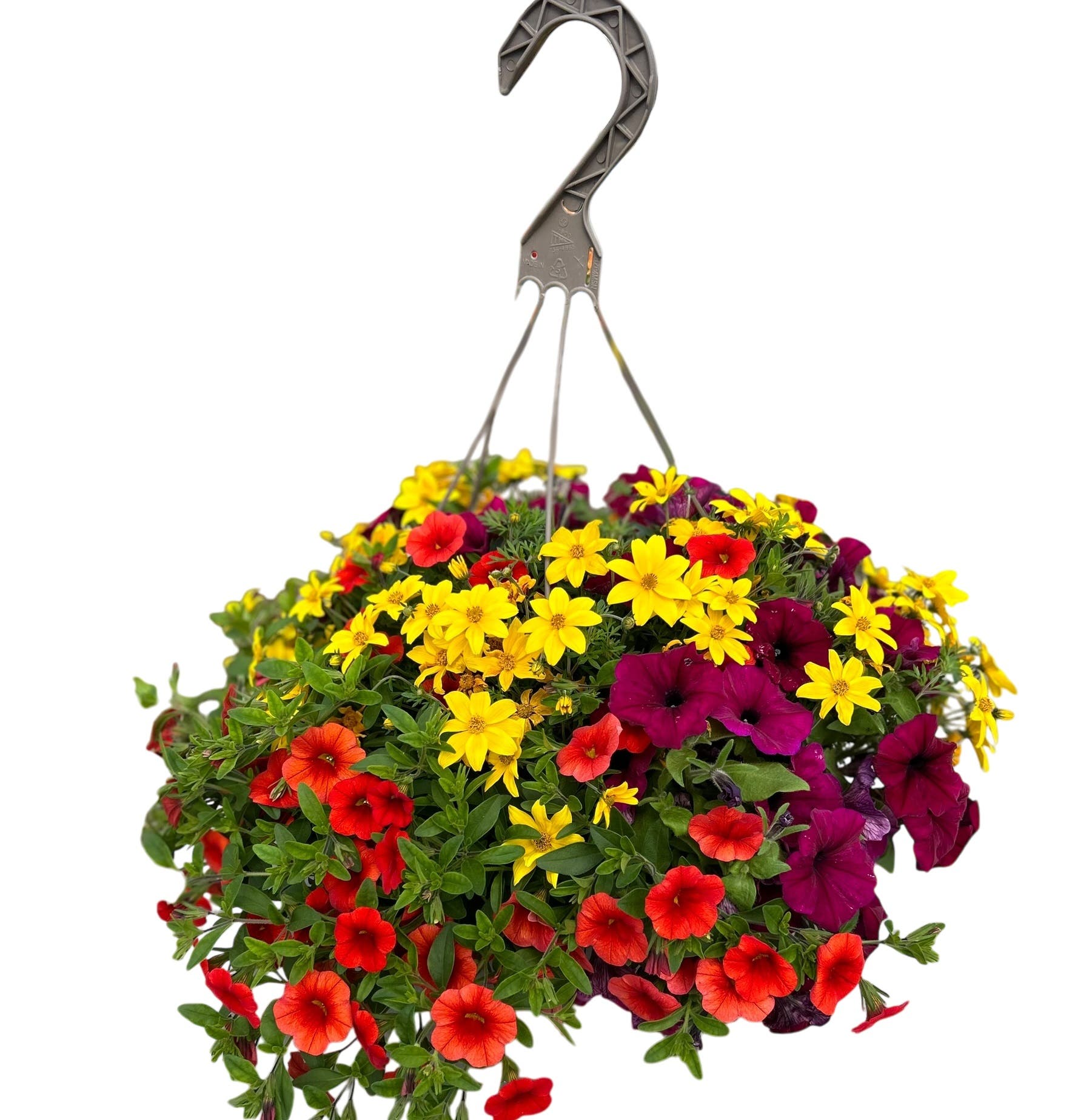 Premium Hanging Flower Basket 12 in