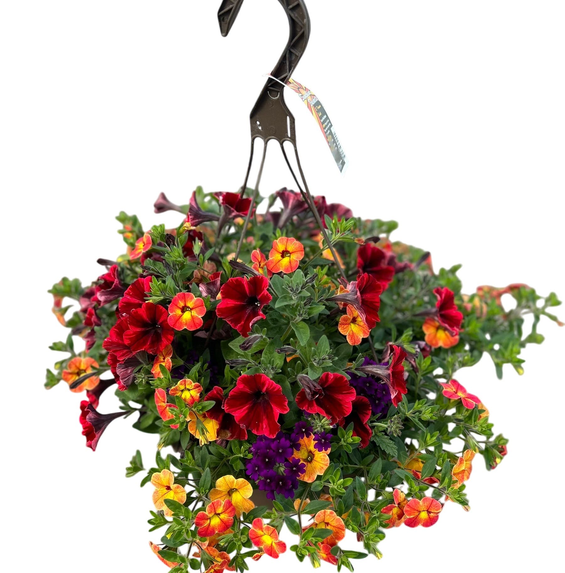Premium Hanging Flower Basket 12 in