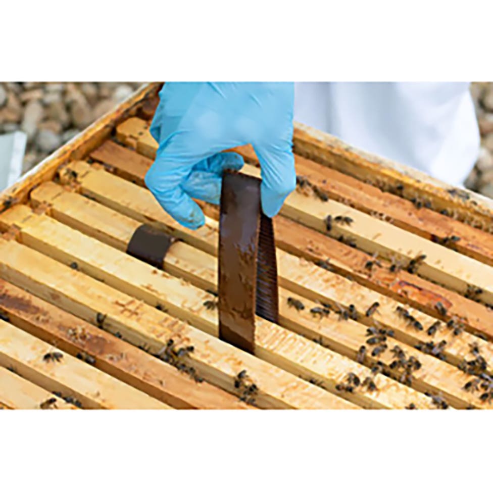 HopGuard 3 Mite Treatment, 10-Strip Pack, 5 Treatments