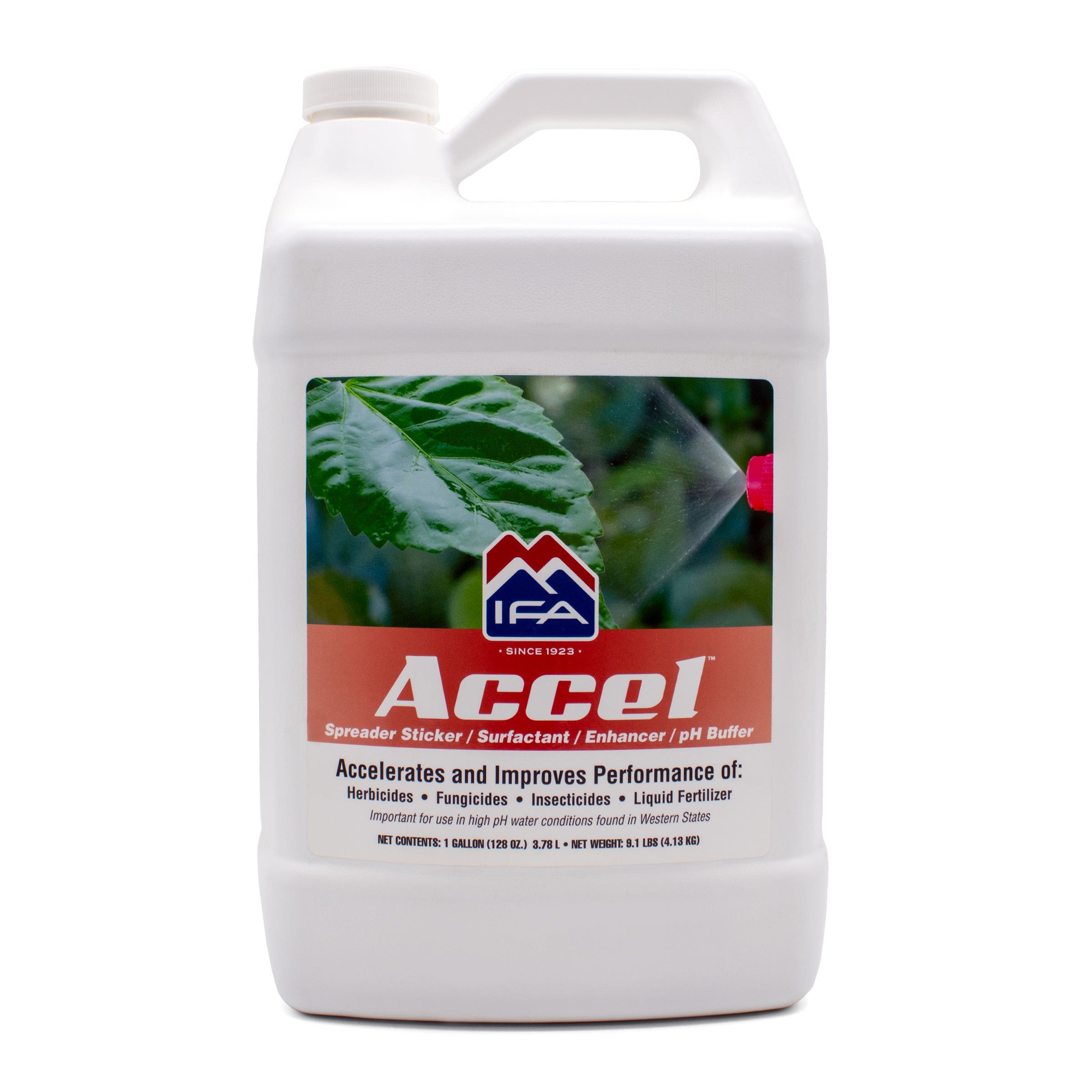 IFA Accel Surfactant, 1 Gallon