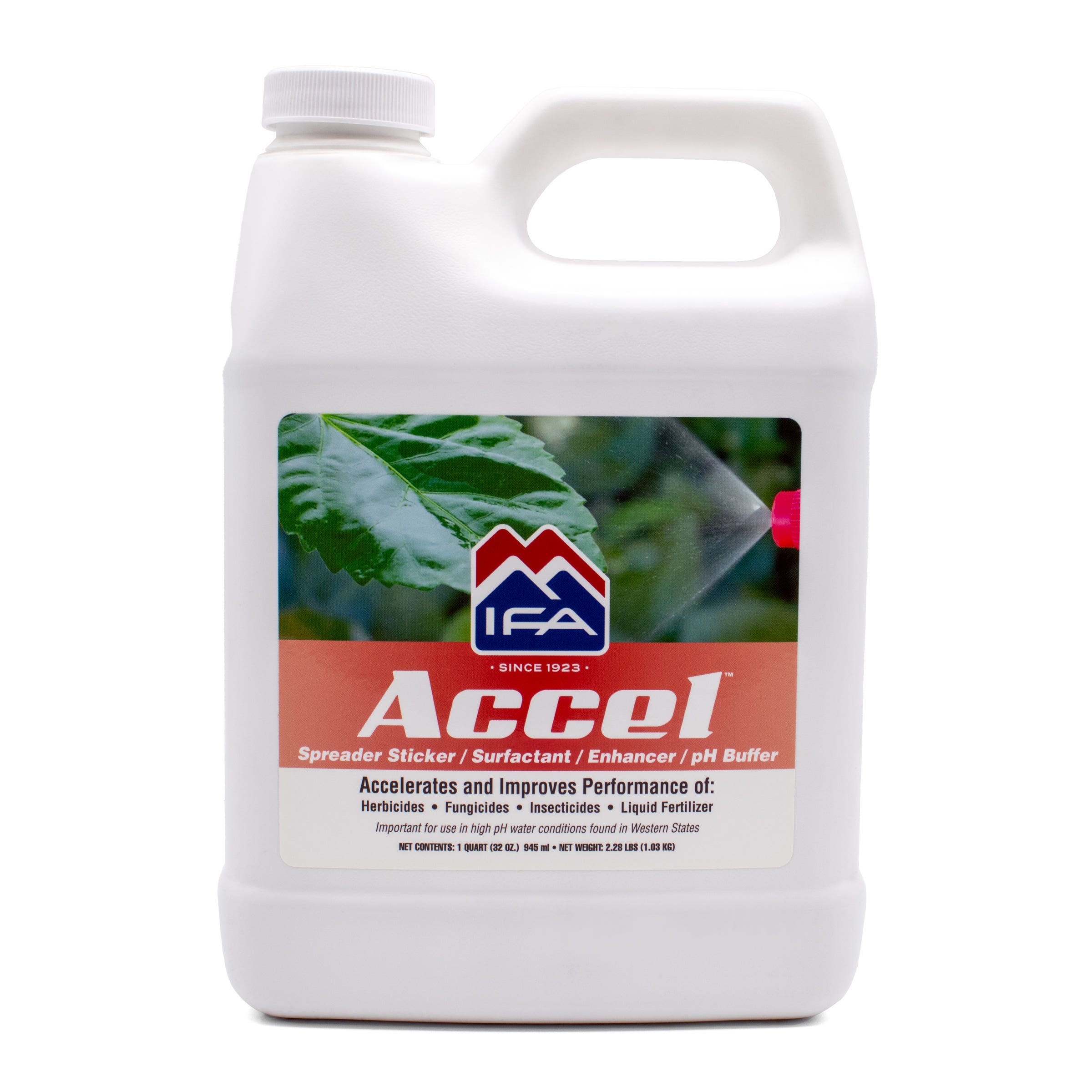 IFA Accel Surfactant, 1 Quart