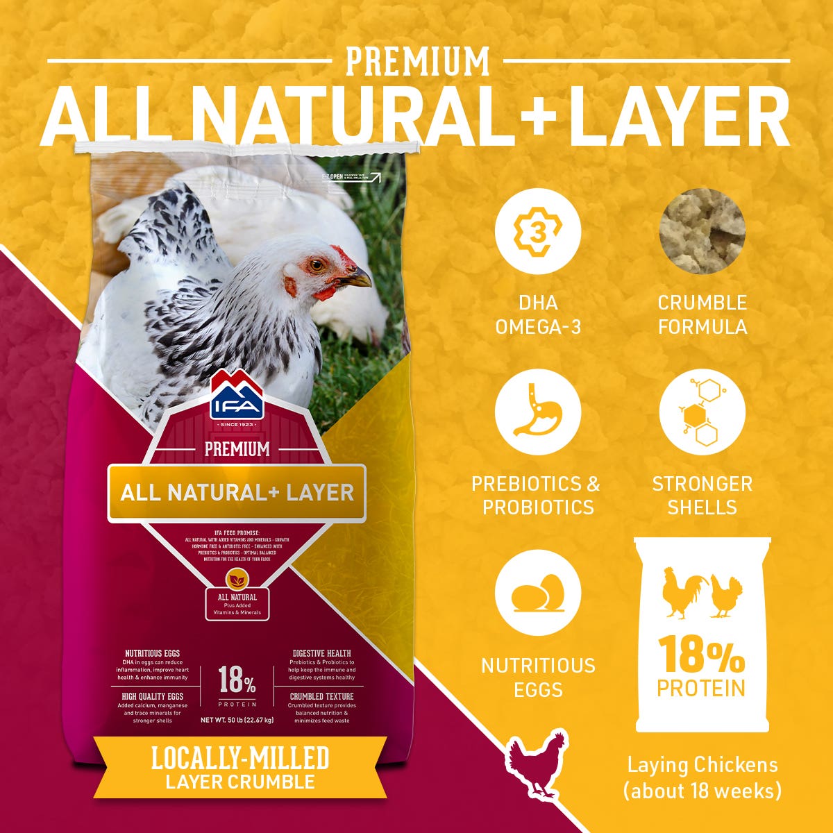 IFA All Natural+ Layer Crumble – Premium Poultry Feed, 50 Lb.