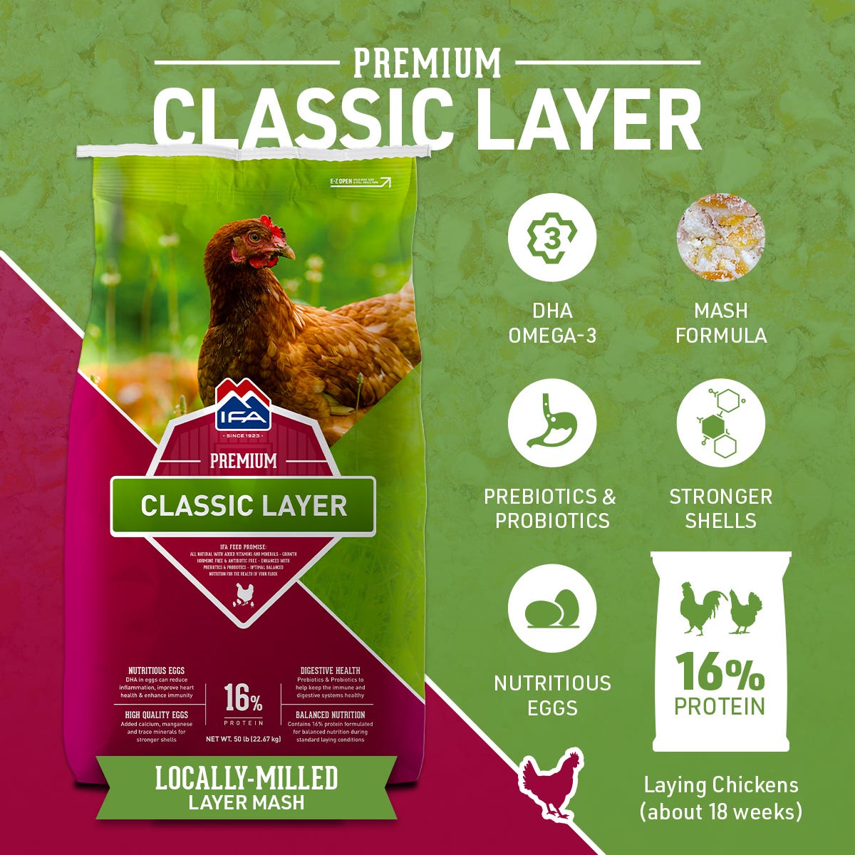 IFA Classic Layer Mash – Premium Poultry Feed, 50 Lb.