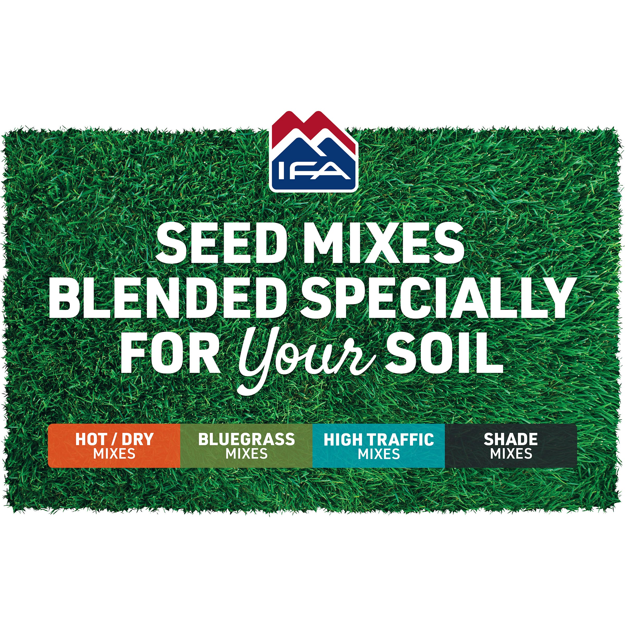 Escalante Fescue Blend Grass Lawn Seed, 3LB