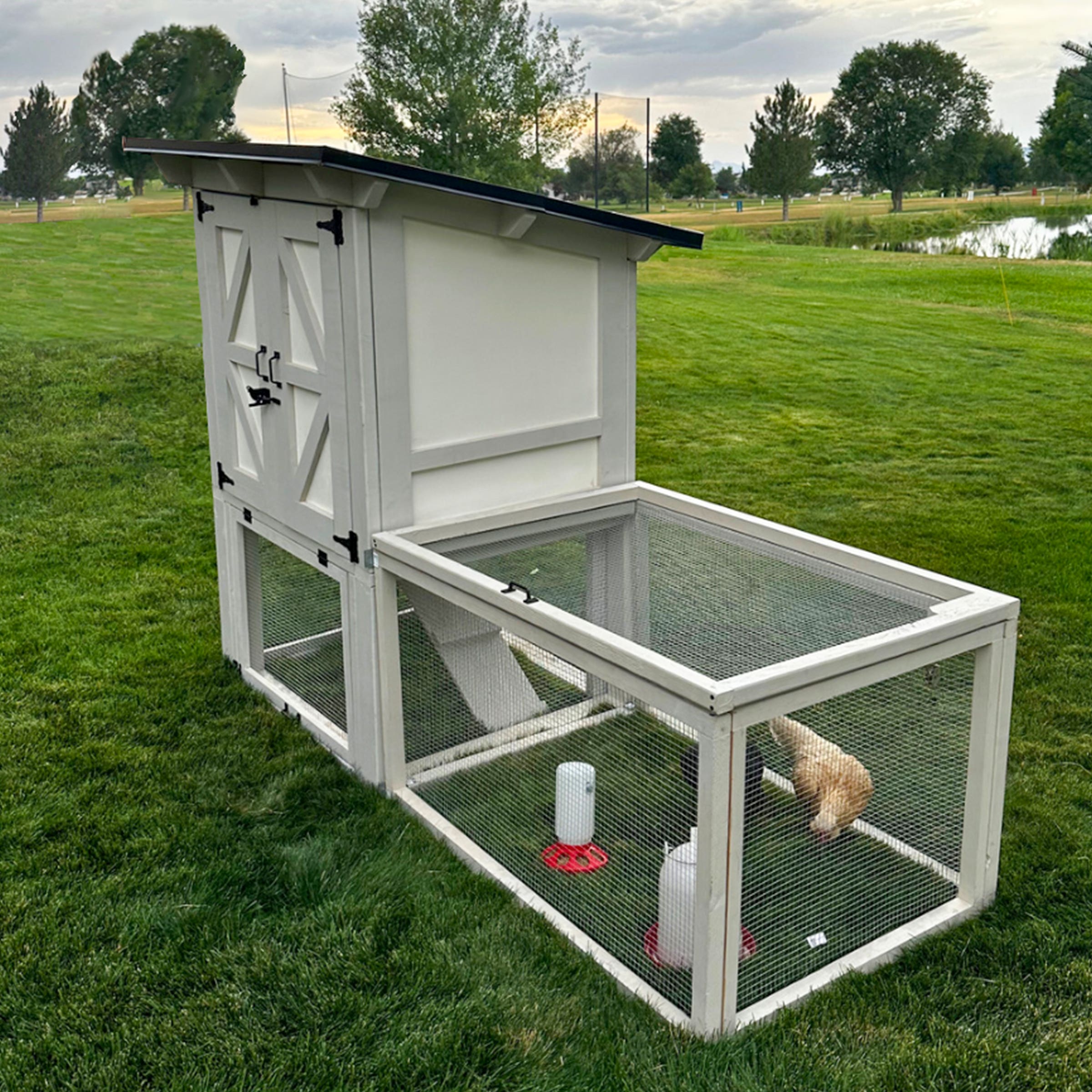 IFA Mountain Vista Premium Chicken Coop, 4-6 Capacity