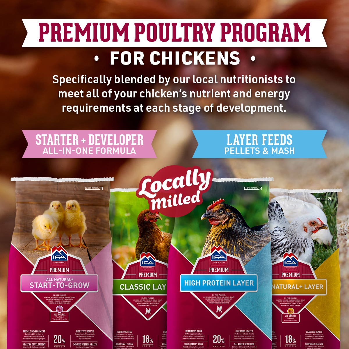 IFA All Natural+ Start-To-Grow, 50 Lb. -- Chick and Pullet Developer Mash Feed